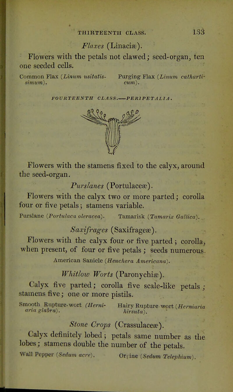 Flaxes (Linacise). Flowers with the petals not clawed; seed-organ, ten one seeded cells. Common Flax {Linum zisitatis- Purging FIeix (Linum cathurti- simum). cum). FOURTEENTH CLASS. PERIPETAI.IA . Flowers with the stamens fixed to the calyx, around the seed-organ. Purslanes (Portulaceae). Flowers with the calyx two or more parted; corolla four or five petals; stamens variable. Purslane (Portulaca oleracea). Tamarisk (Tamarix Gallica). Saxifrages (Saxifrageae). Flowers with the calyx four or five parted ; corolla, when present, of four or five petals; seeds numerous. American Sanicle (Heiic/io-a Americana). Whitlow Worts (Paronychise). Calyx five parted; corolla five scale-Hke petals ; stamens five; one or more pistils. Smooth Rupture-wort (Herni- Hairy Rupture wort (Hej-raiano arm glabra). hirsuta). Stone Crops (Crassulacese). Calyx definitely lobed; petals same number as the lobes; stamens double the number of the petals. Wall Pepper {Sedum acre). Orfine {Sedum Telephium).