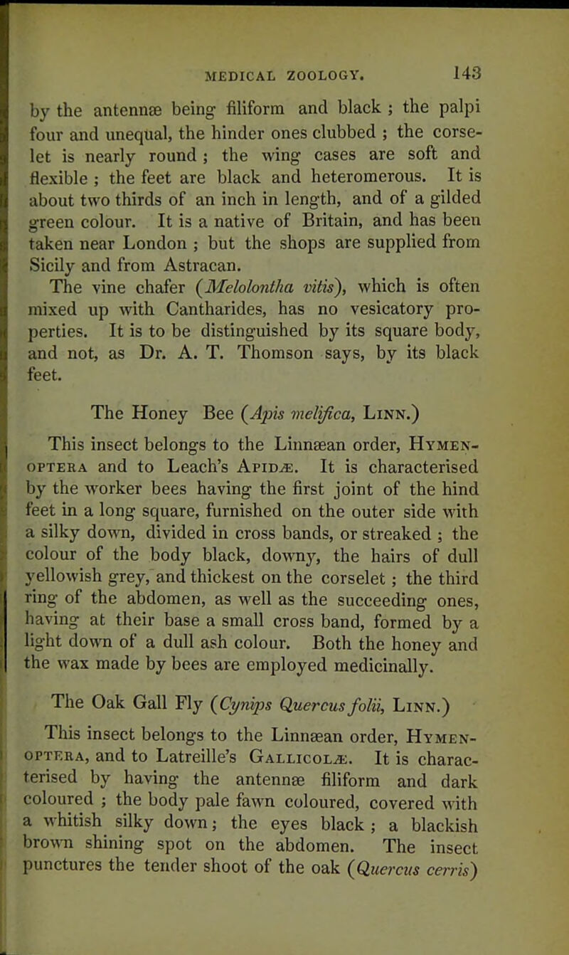 by the antennae being filiform and black ; the palpi four and unequal, the hinder ones clubbed ; the corse- let is nearly round; the wing cases are soft and flexible ; the feet are black and heteromerous. It is about two thirds of an inch in length, and of a gilded green colour. It is a native of Britain, and has been taken near London ; but the shops are supplied from Sicily and from Astracan. The vine chafer {Melolontha vitis), which is often mixed up with Cantharides, has no vesicatory pro- perties. It is to be distinguished by its square body, and not, as Dr. A. T. Thomson says, by its black feet. The Honey Bee (^^jw melifica, Linn.) This insect belongs to the Linnsean order, Hymen- OPTEBA and to Leach's Apid^. It is characterised by the worker bees having the first joint of the hind feet in a long square, furnished on the outer side with a silky down, divided in cross bands, or streaked ; the colour of the body black, down^^, the hairs of dull yellowish grey, and thickest on the corselet; the third ring of the abdomen, as well as the succeeding ones, having at their base a small cross band, formed by a light down of a dull ash colour. Both the honey and the wax made by bees are employed medicinally. The Oak Gall Fly {Cynips Quercus folii, Linn.) This insect belongs to the Linnsean order, Hymen- OPTEBA, and to Latreille's Gallicol^. It is charac- terised by having the antennae filiform and dark coloured ; the body pale fawn coloured, covered with ) a whitish silky down; the eyes black ; a blackish J brown shining spot on the abdomen. The insect j punctures the tender shoot of the oak (Quercus cerris)