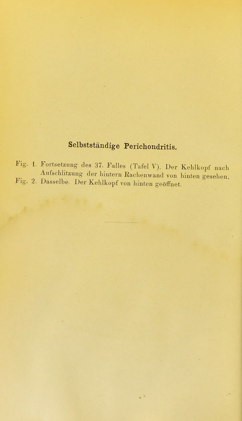 1. Fortsetzung- des 37. Falles (Tafel V). Der Kehlkopf nach Aufschlitzung' der hintern Rachenwand von hinten gesehen. 2. Dasselbe. Der Kehlkopf von hinten geöffnet.