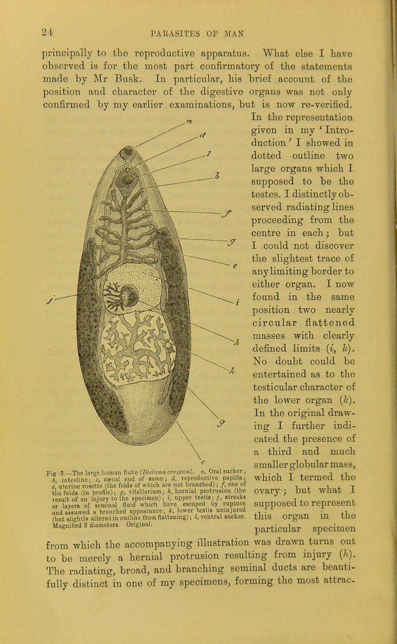 principally to tlie I'epi'oductive apparatus. What else I have observed is for the most part confirmatory of the statements made by Mr Busk. In particular, his brief account of the position and character of the digestive organs was not only confirmed by my earlier examinations, but is now re-verified. In the representation given in my ' Intro- duction ' I showed in dotted outline two large organs which I supposed to be the testes. I distinctly ob- served radiating lines proceeding from the centre in each; but I could not discover the slightest trace of any limiting border to either organ. I now found in the same position two nearly circular flattened masses with clearly defined limits {i, h). No doubt could be entertained as to the testicular character of the lower organ {k). In the original draw- ing I further indi- cated the presence of a third and much ^ s m aller glob ular mass, Pig .J —The large liuninn fluke (Disloma crnssum). a, Oral sucker; n ■ i t x J a1 h intestine; c, cieciil eud of Siinie; d, reproauctive papilla; wJllCll ± termed. lUe e' uterine rosette (the folds of which arc not brauched); /, one of 1 j. T the folds (iu profile); 17, vitellarium; A, hernial protrusion (the Qvary-; DUl WUab ± result of an injury to the specimen); i, upper testis; j, streaks or layers of seminul fluid which have escaped by rupture SUppOSeO. tO represent and assumed a branched appearance; i, lower testis uninjured „„„„„ +1,^ {hut 8li<'htlv altered in outline from (lattenmg); 2. ventral sucker. tJllS Organ in tlie Magnified 2 diameters. Original. particular Specimen from which the accompanying illustration was drawn turns out to be merely a hernial protrusion resulting from injury (7i). The radiating, broad, and branching seminal ducts are beauti- fully distinct in one of my specimens, forming the most attrac