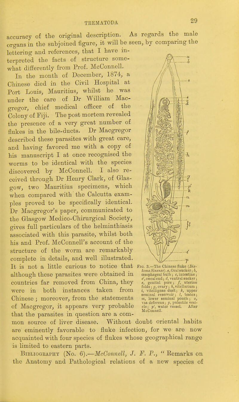 accuracy of the original description. As regards the male organs in the subjoined figure, it will be seen, by comparing the lettering and references, that I have in- terpreted the facts of structure some- what differently fi-om Prof. McOonnell. In the month of December, 1874, a Chinese died in the Civil Hospital at Port Louis, Mauritius, whilst he was under the care of Dr William Mac- gregor, chief medical officer of the Colony of Fiji. The post mortem revealed the presence of a very great number of flukes in the bile-ducts. Dr Macgregor described these parasites with great care, and having favored me with a copy of his manuscript I at once recognised the worms to be identical with the species discovered by McConnell. I also re- ceived through Dr Henry Clark, of Grlas- gow, two Mauritius specimens, which when compared with the Calcutta exam- ples proved to be specifically identical. Dr Macgregor^s paper, communicated to the Glasgow Medico-Chirurgical Society, gives full particulars of the helminthiasis associated with this parasite, whilst both his and Prof. McConnell's account of the structure of the worm are remarkably complete in details, and well illustrated. It is not a little curious to notice that Fig. 3.—The Chinese fluke . . , . loma.Sinense).a,On\\auckei; b, although these parasites were obtamed m countries far removed from China, they were in both instances taken from Chinese ; moreover, from the statements of Macgregor, it appears very probable that the parasites in question are a com- mon source of liver disease. Without doubt oriental habits are eminently favorable to fluke infection, for we are now acquainted with four species of flukes whose geographical range is limited to eastern parts. Bibliography (No. 6).—McConnell, J. F. P.,  Remarks on the Anatomy and Pathological relations of a new species of oesophageal bulb ; c, imestine ; c', ciecal end; rf, ventral sucker; e, genital pore; /, uterine folds; ff, ovary; h, vitellarium ; i, vitelligene duct; upper seminal reseiToir ; /, testes; m, lower seminal pouch; o, vas deferens; p, pulsatile vesi- cle; p', water vessel. After MeCounell.