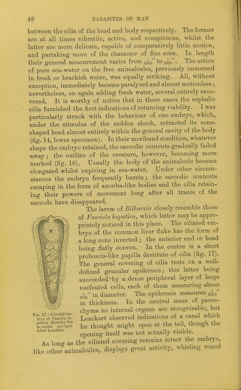 between the cilia of the head and body respectively. The former are at all times vibratile, active, and conspicuous, whilst the latter are more delicate, capable of comparatively little motion, and partaking more of the character of fine setae. In length their general measurement varies from to ^o. The action of pure sea-water on the free animalcules, previously immersed iu fresh or brackish water, was equally striking. All, without exception, immediately became paralysed and almost motionless; nevertheless, on again adding fresh water, several entirely reco- vered. It is worthy of notice that in these cases the cephalic cilia furnished the first indications of returning viability. I was particularly struck with the behaviour of one embryo, which, under the stimulus of the sudden shock, retracted its cone- shaped head almost entirely within the general cavity of the body (fig. 14, lower specimen). In their moribund condition, whatever shape the embryo retained, the sarcodic contents gradually faded away ; the outHne of the creature, however, becoming more marked (fig. 16). Usually the body of the animalcule became elongated whilst expiring in sea-water. Under other circum- stances the embryo frequently bursts ; the sarcodic contents escaping in the form of amoeba-like bodies and the cilia retain- ing their powers of movement long after all traces of the sarcode have disappeared. The larvae of Bilharzia closely resemble those of Fasciola hepaiica, which latter may be appro- priately noticed in this place. The ciliated em- bryo of the common liver fluke has the form of a long cone inverted ; the anterior end or head being flatly convex. In the centre is a short proboscis-like papilla destitute of cilia (fig. 17). The general covering of cilia rests on a well- defined granular epidermis; this latter being succeeded-by a dense peripheral layer of large nucleated cells, each of them measuring about in diameter. The epidermis measures ^J' 2500 _ n in thickness. In the central mass ot paren- chyma no internal organs are recognisable, but Leuckart observed indications of a canal which he thought might open at the tail, though the opening itself was not actually visible, the ciliated covering remains intact the embryo. Tig. 17.—Ciliated ein- brvo of Fasciola lie- pdtica, sliowin;; tlie so-called eye-spot. After Leuckart. As long as tuo kj^^-.^'^ <= , • t j like other animalcules, displays great activity, whirling round