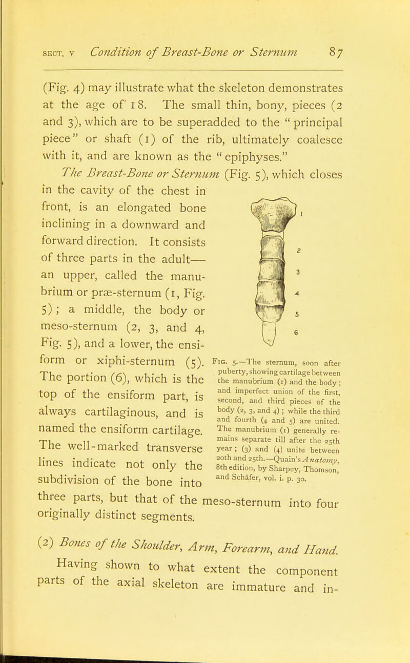 (Fig. 4) may illustrate what the skeleton demonstrates at the age of i 8. The small thin, bony, pieces (2 and 3), which are to be superadded to the  principal piece or shaft (i) of the rib, ultimately coalesce with it, and are known as the  epiphyses. The Breast-Bone or Sternum (Fig. 5), which closes in the cavity of the chest in front, is an elongated bone inclining in a downward and forward direction. It consists of three parts in the adult— an upper, called the manu- brium or prse-sternum (i, Fig. 5) ; a middle, the body or meso-sternum (2, 3, and 4, Fig. 5), and a lower, the ensi- form or xiphi-sternum (5). Fig. 5.—The sternum, soon after T^U„ „ i.' 1 • 1 . , puberty, showing cartilage between 1 he portion (6), which is the the manubrium (I) and the body; and imperfect union of the first, second, and third pieces of the body (2, 3, and 4); while the third and fourth (4 and 5) are united. The manubrium (i) generally re- mains separate till after the 25th year ; (3) and (4) unite between 20th and 25th.—Quain's A natoviy, 8th edition, by Sharpey, Thomson, and Schafer, vol. i. p. 30. top of the ensiform part, is always cartilaginous, and is named the ensiform cartilage. The well-marked transverse lines indicate not only the subdivision of the bone into three parts, but that of the meso-sternum into four originally distinct segments. (2) Bones of the Shoulder, Arm, Forearm, and Hand Having shown to what extent the component parts of the axial skeleton are immature and in-