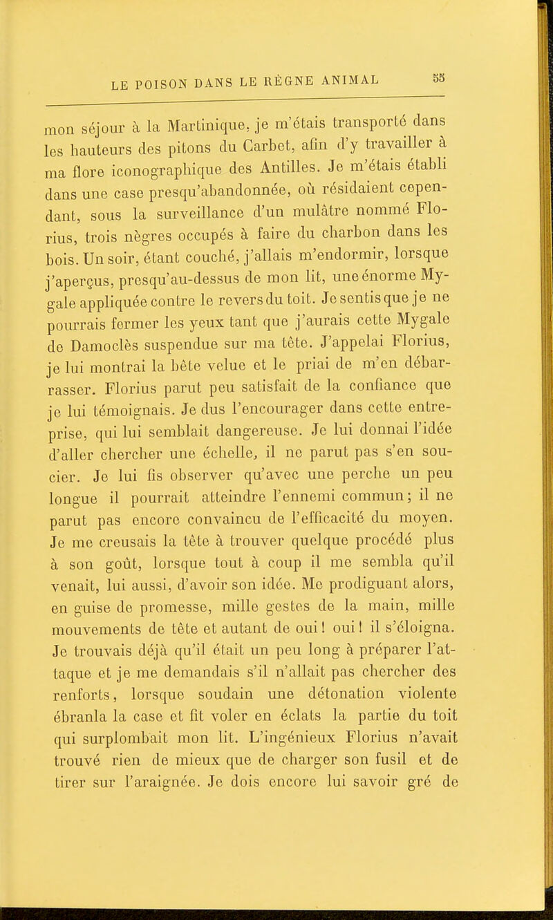 mon séjour à la Martinique, je m'étais transporté clans les hauteurs des pitons du Carbet, afin d'y travailler à ma Hore iconographique des Antilles. Je m'étais établi dans une case presqu'abandonnée, où résidaient cepen- dant, sous la surveillance d'un mulâtre nommé Flo- rins, trois nègres occupés à faire du charbon dans les bois. Un soir, étant couché, j'allais m'endormir, lorsque j'aperçus, presqu'au-dessus de mon lit, une énorme My- gale appliquée contre le reversdutoit. Jesentisque je ne pourrais former les yeux tant que j'aurais cette Mygale de Damoclès suspendue sur ma tête. J'appelai Florins, je lui montrai la bête velue et le priai de m'en débar- rasser. Florins parut peu satisfait de la confiance que je lui témoignais. Je dus l'encourager dans cette entre- prise, qui lui semblait dangereuse. Je lui donnai l'idée d'aller chercher une échelle, il ne parut pas s'en sou- cier. Je lui fis observer qu'avec une perche un peu longue il pourrait atteindre l'ennemi commun; il ne parut pas encore convaincu de l'efficacité du moyen. Je me creusais la tête à trouver quelque procédé plus à son goût, lorsque tout à coup il me sembla qu'il venait, lui aussi, d'avoir son idée. Me prodiguant alors, en guise de promesse, mille gestes de la main, mille mouvements de tête et autant de oui 1 oui I il s'éloigna. Je trouvais déjà qu'il était un peu long à préparer l'at- taque et je me demandais s'il n'allait pas chercher des renforts, lorsque soudain une détonation violente ébranla la case et fit voler en éclats la partie du toit qui surplombait mon lit. L'ingénieux Florius n'avait trouvé rien de mieux que de charger son fusil et de tirer sur l'araignée. Je dois encore lui savoir gré de