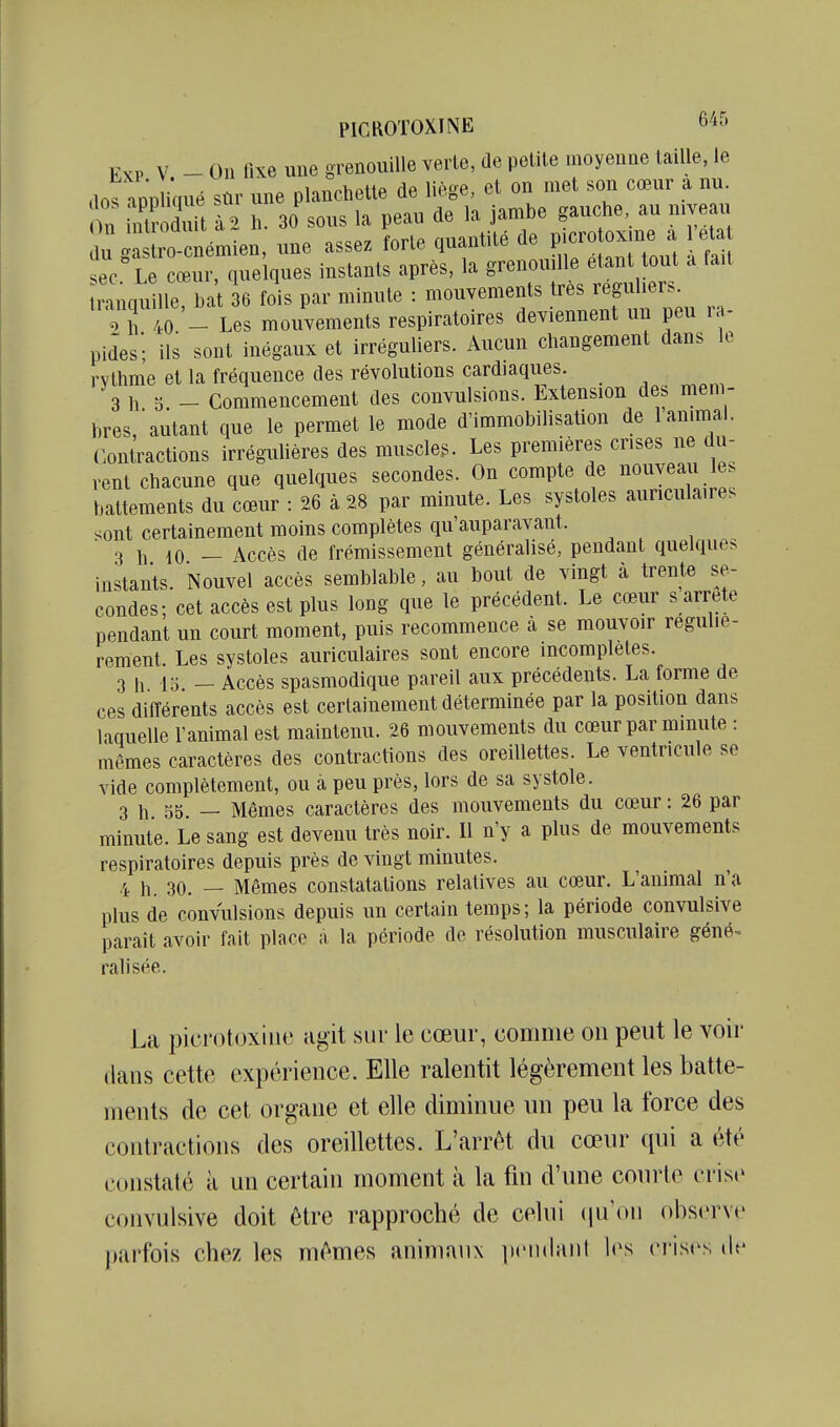 Exp V - Ou fixe uue grenouille verte, de petite moyenne taille, le . . ^inn/^ViPtiP fie lièf-e et on met son cœur a nu. r s ÏÏ' h rpeaV'.;; ia^be .auche. au „ivea„ (»n uuiiiuuii et- rniflutité de u crotoxme a 1 état du gastro-cnémien, une assez forte quaniiie u« y sec Le cœur, quelques instants après, la grenouille étant tout a fait ranqu lie, bat 6 fois par minute : mouvements très réguliers. - Les mouvements respiratoires deviennent un peu r - pid'es'; ils sont inégaux et irréguliers. Aucun changement dans lo rvthme et la fréquence des révolutions cardiaques.  3 h 5 - Commencement des convulsions. Extension des mem- bres,  autant que le permet le mode d'immobilisation de 1 animai, (^.ontractions irrégulières des muscles. Les premières crises ne du- rent chacune que quelques secondes. On compte de nouveau les battements du cœur : 26 à 28 par minute. Les systoles auriculaires sont certainement moins complètes qu'auparavant. 3 h 10 — Accès de frémissement généralisé, pendant quelques instants. Nouvel accès semblable, au bout de vingt à trente se- condes; cet accès est plus long que le précédent. Le cœur s arrête pendant un court moment, puis recommence à se mouvoir réguliè- rement. Les systoles auriculaires sont encore incomplètes. 3 h lo _ Accès spasmodique pareil aux précédents. La forme de ces différents accès est certainement déterminée par la position dans laquelle l'animal est maintenu. 26 mouvements du cœur par minute : mêmes caractères des contractions des oreillettes. Le ventricule se vide complètement, ou à peu près, lors de sa systole. 3 h 5b — Mêmes caractères des mouvements du cœur : 26 par minute. Le sang est devenu très noir. Il n'y a plus de mouvements respiratoires depuis près de vingt minutes. 4 1^ 30. _ Mêmes constatations relatives au cœur. L'animal n'a plus de convulsions depuis un certain temps; la période convulsive paraît avoir fait place a la période de résolution musculaire géné^ ralisée. La picrotoxiue agit sur le cœur, comme on peut le voir dans cette expérience. Elle ralentit légèrement les batte- ments de cet organe et elle diminue un peu la force des contractions des oreillettes. L'arrêt du cœur qui a été constaté à un certain moment à la fin d'une courte crise convulsive doit être rapproché de celui iproii observe parfois chez les mêmes animaux ]icii(lrtiil les crises de