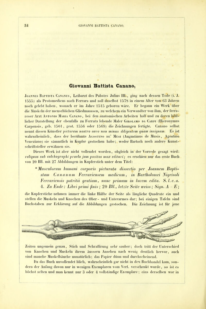 Giovanni Battista Canano, Joannes Baptista Cananus, Leibarzt des Pabstes Julius III., ging nach dessen Tode (i. J. 1555) als Protomediciis nach Ferrara und soll daselbst 1578 in einem Alter von 63 Jaiu-en noch gelebt liahen, wonach er im Jahre 1515 geboren wäre. Er begann ein Werk über die Mnskt'ln der menschlichen Gliedmaassen, zu welchem ein Verwandter von ihm, der ferra- reser Arzt Antoimo Maria Canano , bei den anatomischen Arbeiten half und zu deren bild- licher Darstellung der ebenfalls zu Ferrara lebende Maler Girolamo da Carpi (Hieronymus Carpensis, geb. 1501, gest. 1556 oder 1569) die Zeichnungen fertigte. Canano selbst nennt diesen Künstler pictorem nostro aevo non minus diligentem quam msignem. Es ist wahrscheinlich, dass der berühmte Agostino de' Musi (Augustinus de 3Iusis, Agostino Veneziano) sie sämmthch in Kui^fer gestochen habe; weder Bartsch noch andere Kunst- schriftsteller erwähnen sie. Dieses W(>rk ist aber nicht vollendet worden, obgleich in der Vorrede gesagt wird: rdiquos sub calchographi fraelo jam fositos mox edituri; es erschien nur das erste Buch von 20 BIl. mit 27 Abbildungen in Kupferstich unter dem Titel: * Miisculormn hnmani corporis picturata dissectio per Joannem Bapti- stam Cananum Ferrariensem medicum, in Bartholomci Nigrisoli Ferrariensis patritii gratiani, nunc primum in lucem edita. S.l.e.a. 4. Zu Ende: Lihri primi finis ; 20 BIL, letzte Seite weiss; Sign. A - E; die Kupferstiche nehmen immer die linke Hälfte der Seite als längliche Oi'ti'h'ate ein und stellen die Muskeln und Knochen des Ober- und Unterarmes dar; bei einigen Tafeln sind Buchstaben zur Erklärung auf die Abbildungen gestochen. Die Zeichnung ist für jene Zeiten ungemein genau, Stich und Schraffirung sehr sauber; doch tritt der Unterschied von Knochen und Muskeln ihrem äussern Ansehen nach wenig deutlich hervor, auch sind manche Muskelbäuche unnatürhch; das Papier dünn und durchscheinend. Da das Buch unvollendet blieb, wahrscheinlich gar nicht in den Buchhandel kam, son- dern der Anfang davon nur in wenigen Exemplaren vom Verf. verschenkt wurde, so ist es höchst selten und man kennt nur 3 oder 4 vollständige Exemplare ; eins derselben war in