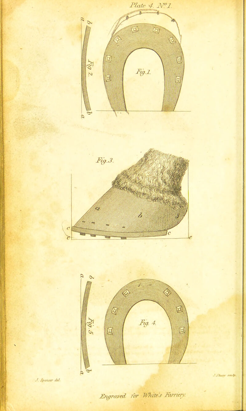 Plate 4. N°l. J. Spenetr del. Engraved, for Miitt'.t Farrten: