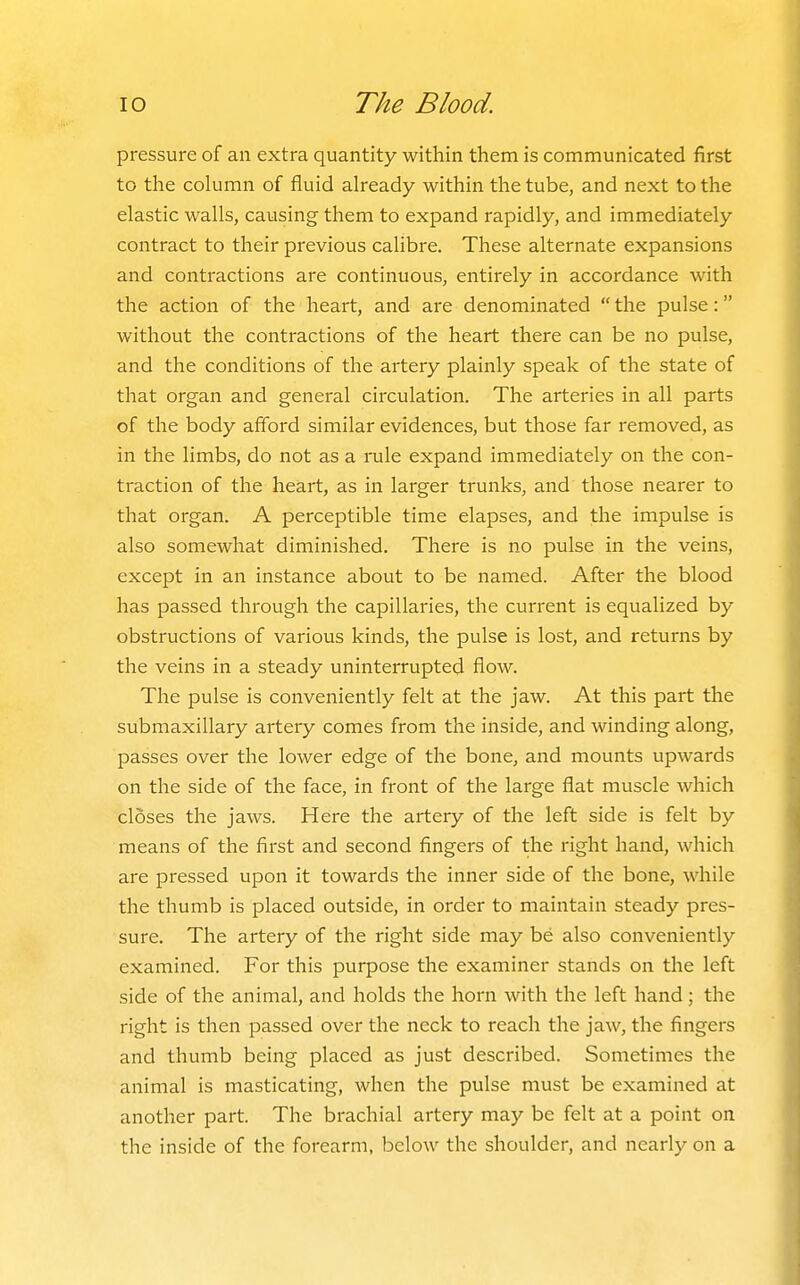 pressure of an extra quantity within them is communicated first to the column of fluid already within the tube, and next to the elastic walls, causing them to expand rapidly, and immediately contract to their previous calibre. These alternate expansions and contractions are continuous, entirely in accordance with the action of the heart, and are denominated  the pulse: without the contractions of the heart there can be no pulse, and the conditions of the artery plainly speak of the state of that organ and general circulation. The arteries in all parts of the body afford similar evidences, but those far removed, as in the limbs, do not as a rule expand immediately on the con- traction of the heart, as in larger trunks, and those nearer to that organ. A perceptible time elapses, and the impulse is also somewhat diminished. There is no pulse in the veins, except in an instance about to be named. After the blood has passed through the capillaries, the current is equalized by obstructions of various kinds, the pulse is lost, and returns by the veins in a steady uninterrupted flow. The pulse is conveniently felt at the jaw. At this part the submaxillary artery comes from the inside, and winding along, passes over the lower edge of the bone, and mounts upwards on the side of the face, in front of the large flat muscle which closes the jaws. Here the artery of the left side is felt by means of the first and second fingers of the right hand, which are pressed upon it towards the inner side of the bone, while the thumb is placed outside, in order to maintain steady pres- sure. The artery of the right side may be also conveniently examined. For this purpose the examiner stands on the left side of the animal, and holds the horn with the left hand; the right is then passed over the neck to reach the jaw, the fingers and thumb being placed as just described. Sometimes the animal is masticating, when the pulse must be examined at another part. The brachial artery may be felt at a point on the inside of the forearm, below the shoulder, and nearly on a