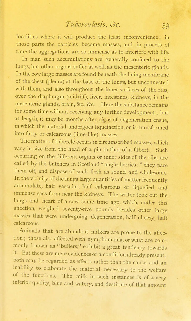 localities where it will produce the least inconvenience: in those parts the particles become masses, and in process of time the aggregations are so immense as to interfere with life. In man such accumulations are generally confined to the lungs, but other organs suffer as well, as the mesenteric glands. In the cow large masses are found beneath the lining membrane of the chest (pleura) at the base of the lungs, but unconnected with them, and also throughout the inner surfaces of the ribs, over the diaphragm (midriff), liver, intestines, kidneys, in the mesenteric glands, brain, &c., &c. Here the substance remains for some time without receiving any further development; but at length, it may be months after, signs of degeneration ensue, in which the material undergoes liquefaction, or is transformed into fatty or calcareous (lime-like) masses. The matter of tubercle occurs in circumscribed masses, which vary in size from the head of a pin to that of a filbert. Such occurring on the different organs or inner sides of the ribs, are called by the butchers in Scotland  angle-berries : they pare them off, and dispose of such flesh as sound and wholesome. In the vicinity of the lungs large quantities of matter frequently accumulate, half vascular, half calcareous or liquefied, and immense sacs form near the kidneys. The writer took out the lungs and heart of a cow some time ago, which, under this affection, weighed seventy-five pounds, besides other large masses that were undergoing degeneration, half cheesy, half calcareous. Animals that are abundant milkers are prone to the affec- tion ; those also affected with nymphomania, or what are com- monly known as bullers,'^ exhibit a great tendency towards It. But these are mere evidences of a condition already present; both may be regarded as effects rather than the cause, and an inability to elaborate the material necessary to the welfare of the functions. The milk in such instances is of a very inferior quality, blue and watery, and destitute of that amount