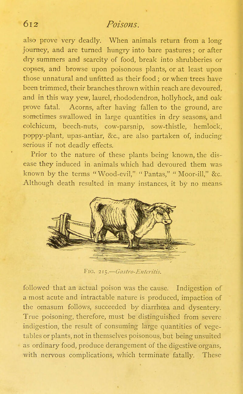 also prove very deadly. When animals return from a long- journey, and are turned hungry into bare pastures; or after diy summers and scarcity of food, break into shrubberies or copses, and browse upon poisonous plants, or at least upon those unnatural and unfitted as their food ; or when trees have been trimmed, their branches thrown within reach are devoured, and in this way yew, laurel, rhododendron, hollyhock, and oak prove fatal. Acorns, after having fallen to the ground, are sometimes swallowed in large quantities in dry seasons, and colchicum, beech-nuts, cow-parsnip, sow-thistle, hemlock, poppy-plant, upas-antiar, &c., are also partaken of, inducing serious if not deadly effects. Prior to the nature of these plants being known, the dis- ease they induced in animals which had devoured them was known by the terms Wood-evil, Pantas, Moor-ill, &c. Although death resulted in many instances, it b}^ no means- Fig. 2 j5.—Gastro-Enteritis. followed that an actual poison was the cause. Indigestion of a most acute and intractable nature is produced, impaction of the omasum follows, succeeded by diarrhoea and dysentery. True poisoning, therefore, must be distinguished from severe indigestion, the result of consuming large quantities of vege- tables or plants, not in themselves poisonous, but being unsuited as ordinary food, produce derangement of the digestive organs, with nervous complications, which terminate fatall)'. These