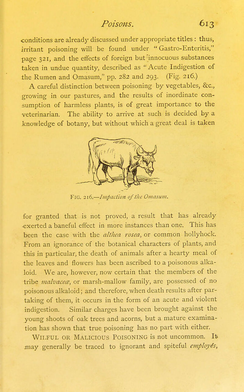 conditions are already discussed under appropriate titles: thus, irritant poisoning will be found under  Gastro-Enteritis, page 321, and the effects of foreign but''innocuous substances taken in undue quantity, described as Acute Indigestion of the Rumen and Omasum, pp. 282 and 293. (Fig. 216.) A careful distinction between poisoning by vegetables, &c., growing in our pastures, and the results of inordinate con- .^umption of harmless plants, is of great importance to the ■veterinarian. The ability to arrive at such is decided by a knowledge of botany, but without which a great deal is taken Fig. 216.—Impaction of the Omasum. for granted that is not proved, a result that has already •exerted a baneful effect in more instances than one. This has been the case with the althea rosea, or common hollyhock. From an ignorance of the botanical characters of plants, and this in particular, the death of animals after a hearty meal of the leaves and flowers has been ascribed to a poisonous alka- loid. We are, however, now certain that the members of the tribe vialvacece, or marsh-mallow family, are possessed of no poisonous alkaloid; and therefore, when death results after par- taking of them, it occurs in the form of an acute and violent indigestion. Similar charges have been brought against the young shoots of oak trees and acorns, but a mature examina- tion has shown that true poisoning has no part with either. Wilful or Malicious Poisoning is not uncommon. It> ,may generally be traced to ignorant and spiteful eniploy4s,