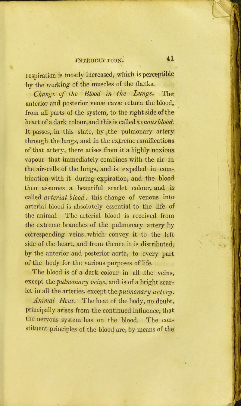 respiration is mostly increased, which is perceptible by the working of the muscles of the flanks. Change of the Blood in the Lungs. The anterior and posterior venae cavae return the blood, from all parts of the system, to the right side of the heart of a dark colour, and this is called venous blood- It passes, in this state, by ,the pulmonary artery through the lungs, and in the extreme ramifications of that artery, there arises from it a highly noxious vapour that immediately combines with the air in the air-cells of the lungs, and is expelled in com- bination with it during expiration, and the blood then assumes a beautiful scarlet colour, and is called arterial blood: this change of venous into arterial blood is absolutely essential to the life of the animal. The arterial blood is received from the extreme branches of the pulmonary artery by corresponding veins, which convey it to the left side of the heart, and from thence it is distributed, by the anterior and posterior aorta, to every part of the body for the various purposes of life. The blood is of a dark colour in all ,the veins, except ihQ pulmonary veiJis, and is of a bright scar- let in all the arteries, except the pulmonary artery. Animal Heat. The heat of the body, no doubt, principally arises from the continued influence, that the nervous system has on the blood. The con- stituent principles of the blood are, by means of the