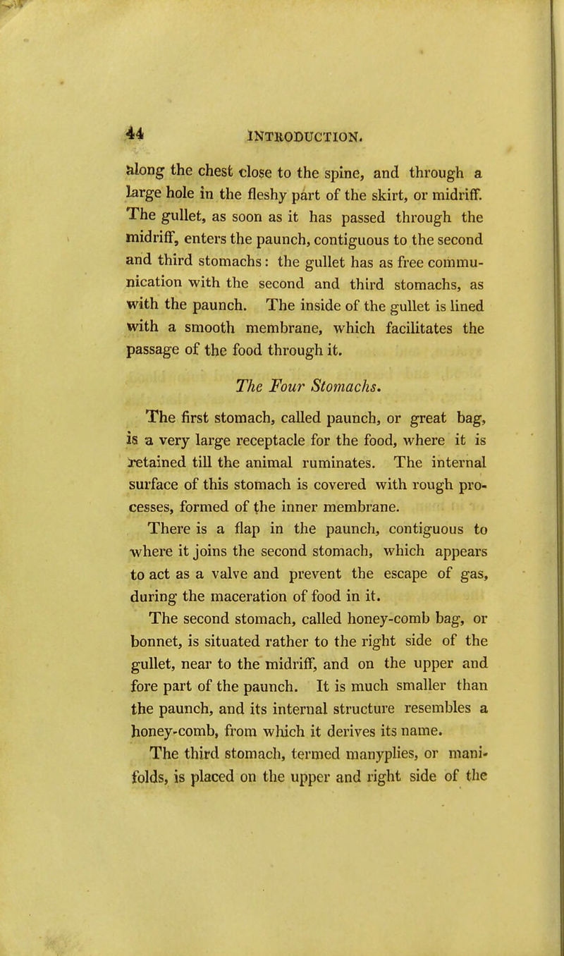 along the chest dose to the spine, and through a large hole in the fleshy part of the skirt, or midriff. The gullet, as soon as it has passed through the midriff, enters the paunch, contiguous to the second and third stomachs: the gullet has as free commu- nication with the second and third stomachs, as with the paunch. The inside of the gullet is lined with a smooth membrane, which facilitates the passage of the food through it. The Four Stomachs, The first stomach, called paunch, or great bag, is a very large receptacle for the food, where it is retained till the animal ruminates. The internal surface of this stomach is covered with rough pro- cesses, formed of the inner membrane. There is a flap in the paunch, contiguous to where it joins the second stomach, which appears to act as a valve and prevent the escape of gas, during the maceration of food in it. The second stomach, called honey-comb bag, or bonnet, is situated rather to the right side of the gullet, near to the midriff, and on the upper and fore part of the paunch. It is much smaller than the paunch, and its internal structure resembles a honey-comb, from which it derives its name. The third stomach, termed manyplies, or mani- folds, is placed on the upper and right side of tlie