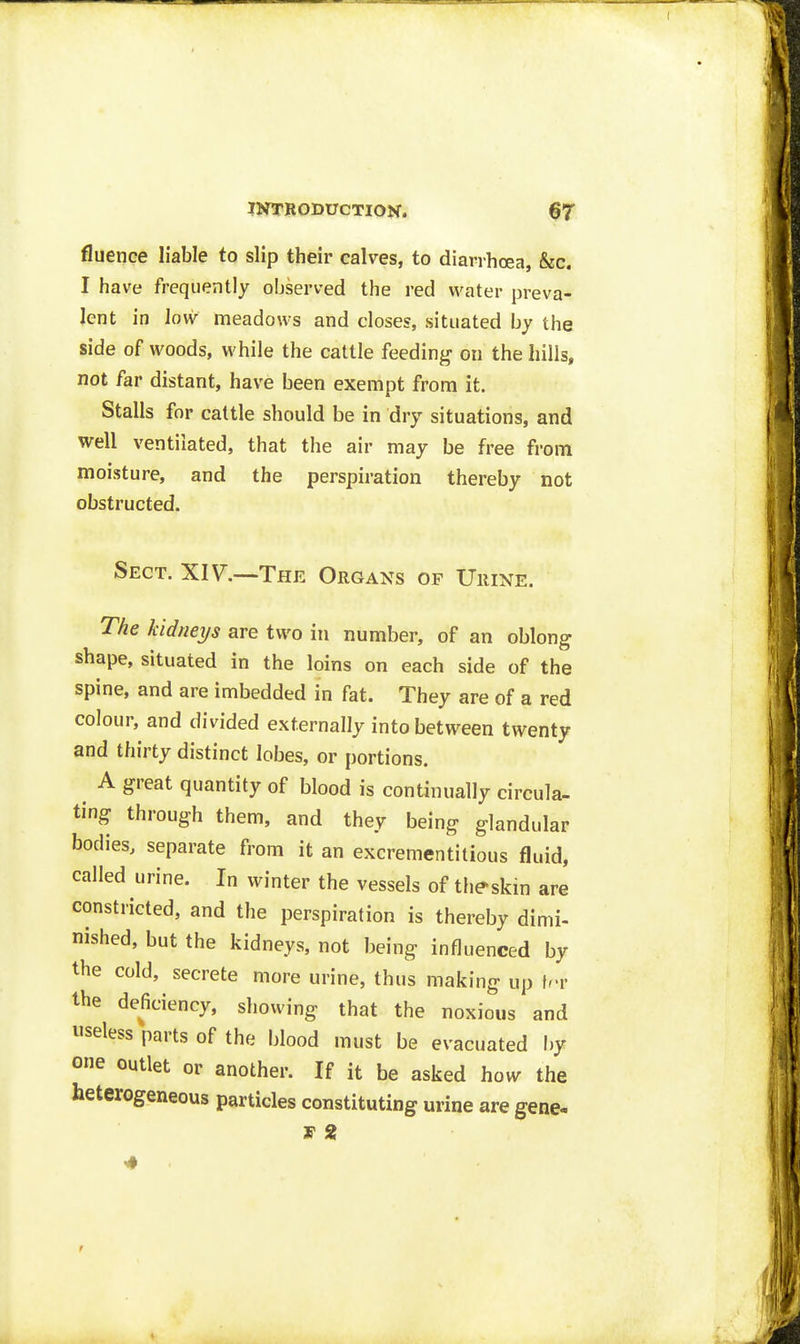 fluence liable to slip their calves, to diarrhoea, &c. I have frequently observed the red water preva- lent in lovv meadows and closes, situated by the side of woods, while the cattle feeding on the hills, not far distant, have been exempt from it. Stalls for cattle should be in dry situations, and well ventilated, that the air may be free from moisture, and the perspiration thereby not obstructed. Sect. XI7.—The Organs of Urine. The kidneys are two in number, of an oblong shape, situated in the loins on each side of the spine, and are imbedded in fat. They are of a red colour, and divided externally into between twenty and thirty distinct lobes, or portions. A great quantity of blood is continually circula- ting through them, and they being glandular bodies, separate from it an excrementitious fluid, called urine. In winter the vessels of th^skm are constricted, and the perspiration is thereby dimi- nished, but the kidneys, not being influenced by the cold, secrete more urine, thus making up \rv the deficiency, showing that the noxious and useless parts of the blood must be evacuated by one outlet or another. If it be asked how the heterogeneous particles constituting urine are gene-