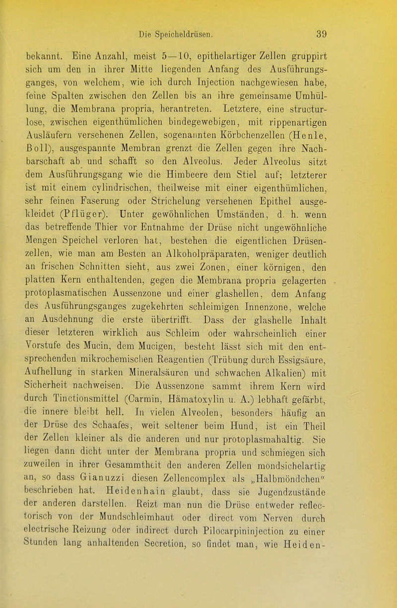 bekannt. Eine Anzahl, raeist 5—10, epithelartiger Zellen gruppirt sich um den in ihrer Mitte liegenden Anfang des Ausführungs- ganges, von welchem, wie ich durch Injection nachgewiesen habe, feine Spalten zwischen den Zellen bis an ihre gemeinsame Umhül- lung, die Membrana propria, herantreten. Letztere, eine structur- lose, zwischen eigenthüralichen bindegewebigen, mit rippenartigen Ausläufern versehenen Zellen, sogenannten Körbchenzellen (Henie, Boll), ausgespannte Membran grenzt die Zellen gegen ihre Nach- barschaft ab und schafft so den Alveolus. Jeder Alveolus sitzt dem Ausführungsgang wie die Himbeere dem Stiel auf; letzterer ist mit einem cylindrischen, theilweise mit einer eigenthüralichen, sehr feinen Faserung oder Strichelung versehenen Epithel ausge- kleidet (Pflüger). Unter gewöhnlichen Umständen, d. h. wenn das betreffende Thier vor Entnahme der Drüse nicht ungewöhnliche Mengen Speichel verloren hat, bestehen die eigentlichen Drüsen- zellen, wie man am Besten an Alkoholpräparaten, weniger deutlich an frischen Schnitten sieht, aus zwei Zonen, einer körnigen, den platten Kern enthaltenden, gegen die Membrana propria gelagerten protoplasmatischen Aussenzone und einer glashellen, dem Anfang des Aus führungsganges zugekehrten schleimigen Innenzone, welche an Ausdehnung die erste übertrifft. Dass der glashelle Inhalt dieser letzteren wirklich aus Schleim oder wahrscheinlich einer Vorstufe des Mucin, dem Mucigen, besteht lässt sich mit den ent- sprechenden raikrocheraischen Reagentien (Trübung durch Essigsäure, Aufhellung in starken Mineralsäurcn und schwachen Alkalien) mit Sicherheit nachweisen. Die Aussenzone samrat ihrem Kern wird durch Tinctionsraittel (Oarmin, Hämatoxylin u. A.) lebhaft gefärbt, die innere bleibt hell. In vielen Alveolen, besonders häufig an der Drüse des Schaafes, weit seltener beim Hund, ist ein Theil der Zellen kleiner als die anderen und nur protoplasmahaltig. Sie liegen dann dicht unter der Membrana propria und schmiegen sich zuweilen in ihrer Gesammthcit den anderen Zellen mondsichelartig an, so dass Gianuzzi diesen Zellencomplex als „Halbmöndchen beschrieben hat. Heidenhain glaubt, dass sie Jugendzustände der anderen darstellen. Reizt man nun die Drüse entweder reflec- torisch von der Mundschleimhaut oder direct vom Nerven durch electrische Reizung oder indirect durch Pilocarpininjection zu einer Stunden lang anhaltenden Secretion, so findet mau, wie Heiden-