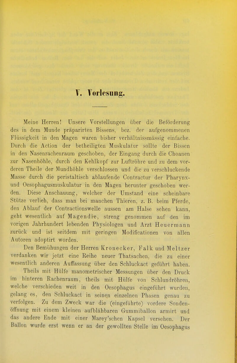 Meine Herren! Unsere Vorstellungen über die Beförderung des in deni Munde präparirten Bissens, bez. der aufgenommeuen Flüssigkeit in den Magen waren bisher verhältnissnaässig einfache. Durch die Action der betheiligten Muskulatur sollte der Bissen in den Nasenrachenraum geschoben, der Eingang durch die Choanen zur Nasenhöhle, durch den Kehlkopf zur Luftröhre und zu dem vor- deren Theile der Mundhöhle verschlossen und die zu verschluckende Masse durch die peristaltisch ablaufende Contractur der Pharynx- und Oesophagusmuskulatur in den Magen herunter geschoben wer- den. Diese Anschauung, welcher der Umstand eine scheinbare Stütze verlieh, dass man bei manchen Thieren, z. B. beim Pferde, den Ablauf der Contractionswelle aussen am Halse sehen kann, geht wesentlich auf Magendre, streng genommen auf den im vorigen Jahrhundert lebenden Physiologen und Arzt Heuermann zurück und ist seitdem mit geringen Modificationen von allen Autoren adoptirt worden. Den Bemühungen der Herren Kronecker, Falk und Meitzer verdanken wir jetzt eine Keihe neuer Thatsachen, die zu einer wesentlich anderen Auffassung über den Schluckact geführt haben. Theils mit Hülfe manometrischer Messungen über den Druck im hinteren Rachenraum, theils mit Hülfe von Schlundröhren, welche verschieden weit in den Oesophagus eingeführt wurden, gelang es, den Schluckact in seinen einzelnen Phasen genau zu verfolgen. Zu dem Zweck war die (eingeführte) vordere Sonden- öffnung mit einem kleinen aufblähbaren Gummiballon armirt und das andere Ende mit einer Marey'schen Kapsel versehen. Der Ballon wurde erst wenn er an der gewollten Stelle im Oesophagus