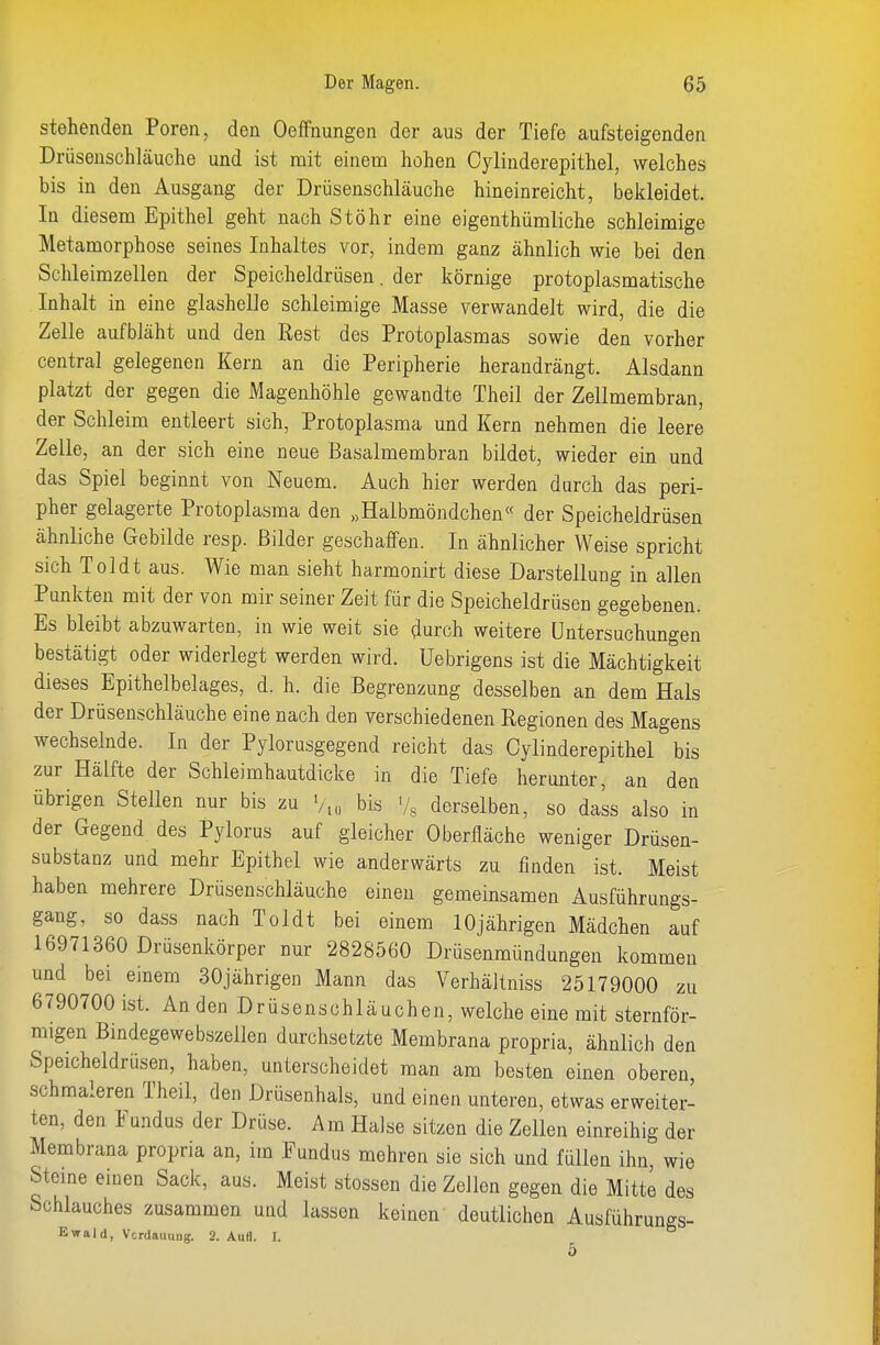 stehenden Poren, den Oeffnungen der aus der Tiefe aufsteigenden Drüseuschläuche und ist mit einem hohen Cylinderepithel, welches bis in den Ausgang der Drüsenschläuche hineinreicht, bekleidet. In diesem Epithel geht nach Stöhr eine eigenthümliche schleimige Metamorphose seines Inhaltes vor, indem ganz ähnlich wie bei den Schleimzellen der Speicheldrüsen. der körnige protoplasmatische Inhalt in eine glashelle schleimige Masse verwandelt wird, die die Zelle aufbläht und den ßest des Protoplasmas sowie den vorher central gelegenen Kern an die Peripherie herandrängt. Alsdann platzt der gegen die Magenhöhle gewandte Theil der Zellmembran, der Schleim entleert sich, Protoplasma und Kern nehmen die leere Zelle, an der sich eine neue Basalmembran bildet, wieder ein und das Spiel beginnt von Neuem. Auch hier werden durch das peri- pher gelagerte Protoplasma den „Halbmöndchen« der Speicheldrüsen ähnliche Gebilde resp. Bilder geschaffen. In ähnlicher Weise spricht sich Toi dt aus. Wie man sieht harmonirt diese Darstellung in allen Punkten mit der von mir seiner Zeit für die Speicheldrüsen gegebenen. Es bleibt abzuwarten, in wie weit sie ^lurch weitere Untersuchungen bestätigt oder widerlegt werden wird. Uebrigens ist die Mächtigkeit dieses Epithelbelages, d. h. die Begrenzung desselben an dem Hals der Drüsenschläuche eine nach den verschiedenen Regionen des Magens wechselnde. In der Pylorasgegend reicht das Cylinderepithel bis zur Hälfte der Schleimhautdicke in die Tiefe herunter, an den übrigen Stellen nur bis zu Vi„ bis '/s derselben, so dass also in der Gegend des Pylorus auf gleicher Oberfläche weniger Drüsen- substanz und mehr Epithel wie anderwärts zu finden ist. Meist haben mehrere Drüsenschläuche einen gemeinsamen Ausführungs- gang, so dass nach Toldt bei einem 10jährigen Mädchen auf 16971360 Drüsenkörper nur 2828560 Drüsenmündungen kommen und bei einem 30jährigen Mann das Verhältniss 25179000 zu 6790700 ist. Anden Drüsenschläuchen, welche eine mit sternför- migen Bindegewebszellen durchsetzte Membrana propria, ähnlich den Speicheldrüsen, haben, unterscheidet man am besten einen oberen schmaleren Theil, den Drüsenhals, und einen unteren, etwas erweiter- ten, den Fundus der Drüse. Am Halse sitzen die Zellen einreihig der Membrana propria an, im Fundus mehren sie sich und füllen ihn, wie Steine einen Sack, aus. Meist stossen die Zellen gegen die Mitte des Schlauches zusammen und lassen keinen deutlichen Ausführungs- Ewald, Verdauung. 2. Aufl. I. 5