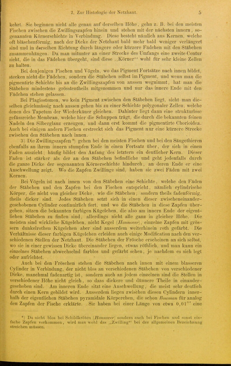 kohrt. Sie begiimou nicht alle g'ciiiui auf dersolbcii llöho, ft'olin z. ß. bei den meisten Fisclien zwisciien die Zwillingszapfen hinein und stehen mit der uäclisten innern, so- i^enunnten Körnerschichtc in Verbindung. Diese besteht nämlicli au« Kernen, welche (»ft bläschenförmig, nach der Dicke der Netzhaut bald mehr bald weniger verlängert sind und in derselben Richtung durch längere oder kürzere Fädchen mit den Stäbchen zusammenhängen. Da man mitunter an einer Strecke des Umfangs eine zweite Contur sieht, die in das Fädchen übergeht, sind diese ,,Körner wohl für sehr kleine Zellen zu halten. Bei denjenigen Fischen und Vögeln, wo das Pigment Fortsätze nach innen bildet, stecken nicht die Fädchen, sondern die Stäbchen selbst im Pigment, und wenn man die pigmentirte Schichte bis an die Zwillingszapfen von aussen wegnimmt, hat man die Stäbchen mindestens grösstentheils mitgenommen und nur das innere Ende mit den Fädchen stehen gelassen. Bei Plagiostomen, wo kein Pigment zwischen den Stäbchen liegt, sieht man die- selben glcichmässig nach aussen gehen bis zu einer Schichte polygonaler Zellen, welche denen des Tapetum der Wiederkäuer gleichen. Dahinter liegt dann eine strukturlose gefässreiche Membran, welche hier die Schuppen ti'ägt, die durch die bekannten feinen Nadeln den Silberglanz erzeugen, und dann erst kommt die pigmentirte Chorioidea. Auch bei einigen andern Fischen erstreckt sich das Pigment nur eine kürzere Strecke zwischen den Stäbchen nach innen. 3) Die Zwillingszapfen*) gehen bei den meisten Fischen und bei den Säugethieren ebenfalls an ihrem innern stumpfen Ende in einen Fortsatz über, der sich in einen Faden auszieht; häufig bildet den Anfang des letztern ein deutlicher Kern. Dieser Faden ist stärker als der an den Stäbchen befindliche und geht jedenfalls durch die ganze Dicke der sogenannten Körnerschichte hindurch, an deren Ende er eine Anschwellung zeigt. Wo die Zapfen Zwillinge sind, haben sie zwei Fäden mit zwei Kernen. Bei Vögeln ist nach innen von den Stäbchen eine Schichte, welche den Fäden der Stäbchen und den Zapfen bei den Fischen entspricht, nämlich cylindrische Körper, die nicht von gleicher Dicke . wie die Stäbchen, sondern theils fadenförmig, theils dicker sind. Jedes Stäbchen setzt sich in einen dieser zwischeneinander- geschobenen Cylinder continuirUch fort, und wo die Stäbchen in diese Zapfen über- gehen, sitzen die bekannten farbigen Kügelchen, die also am innern Ende der eigent- lichen Stäbchen zu finden sind, allerdings nicht alle ganz in gleicher Höhe. Die meisten sind wirkliche Kügelchen, nicht Kegel [Hannover], einzelne Zapfen mit grös- sern dunkelrothen Kügelchen aber sind ausserdem weiterhinein roth gefärbt. Die Verhältnisse dieser farbigen Kügelchen erleiden auch einige Modification nach den ver- schiedenen Stellen der Netzhaut. Die Stäbchen der Frösche erscheinen an sich selbst, wo sie in einer gewissen Dicke übereinander liegen, etwas röthlich, und man kann ein einzelnes Stäbchen abwechselnd farblos und gefärbt sehen, je nachdem es sich legt oder aufrichtet. Auch bei den Fröschen stehen die Stäbchen nach innen mit einem blasseren riylinder in Verbindung, der nicht blos an verschiedenen Stäbchen von verschiedener Dicke, manchmal fadenartig ist, sondern auch an jedem einzelnen sind die Stelleu in verschiedener Höhe nicht gleich, so dass dickere und dünnere Theile in einander- geschoben sind. Am inneren Ende sitzt eine Anschwellung, die meist sehr deutlich durch einen Kern gebildet wird. Ausserdem liegen zwischen diesen Cylindern inner- halb der eigentlichen Stäbchen pyramidale Körperchen, die schon Bowman für analog den Zapfen der Fische erklärte. Sie haben bei einer Länge von etwa 0,01' eine *) Da nicht blos bei Hcliiklkrötcii (Hannover) s-oudcni aUL'li bei l''i.stlicn und .soii.st ein- fache Zapfen vorkommen, wird man wohl das ,,Zwilling bei der allgemcitien Eczeiehnung streichen müssen.