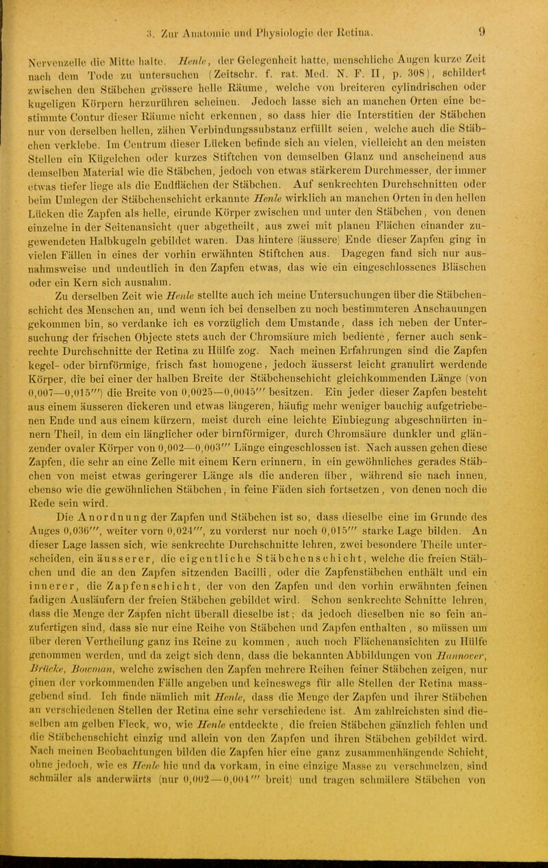 NiTvonzellc dio Mitte, iiaite. Hotlc, der Gelegenheit liattc, mcnscldiciie Augen iturze Zeit nacii dem Tode zu untersuciien (Zcitschr. f. rat. Med. N. F. II, p. 308), schildert zwischen den Stäbchen grössere hello Räume, wolclie von breiteren cylindrischen oder kugeligen Kürpern herzurühren scheinen. Jedoch lasse sich an manchen Orten eine be- stimmte Coutur dieser Räume nicht erkennen, so dass hier die Interstitien der Stäbchen nur von derselben hellen, zähen Verbindungssubstanz erfüllt seien, welche auch die Stäb- chen verklebe. Im Ceutrum dieser Lücken befinde sich an vielen, vielleicht an den meisten Stelleu ein Kügelchen oder kurzes Stiftchen von demselben Glanz und anscheinend aus demselben Material wie die Stäbchen, jedocli von etwas stärkerem Durchmesser, der immer etwas tiefer liege als die Endfiäclien der Stäbchen. Auf senkrechten Durchschnitten oder beim Umlegen der Stäbchenschicht erkannte Henle wirklich an manchen Orten in den hellen Lücken die Zapfen als helle, eirunde Körper zwischen und unter den Stäbchen, von denen einzelne in der Seitenansicht quer abgetheilt, aus zwei mit planen Flächen einander zu- gewendeten Halbkugeln gebildet waren. Das hintere (äussere) Ende dieser Zapfen ging in vielen Fällen in eines der vorhin erwähnten Stiftchen aus. Dagegen fand sich nur aus- nahmsweise und undeutlich in den Zapfen etwas, das wie ein eingeschlossenes Bläschen oder ein Kern sich ausnahm. Zu derselben Zeit wie Henle stellte auch ich meine Untersuchungen über die Stäbchen- schicht des Menschen an, und wenn ich bei denselben zu noch bestimmteren Anschauungen gekommen bin, so verdanke ich es vorzüglich dem Umstände, dass ich neben der Unter- suchung der frischen Objecto stets auch der Chromsäure mich bediente, ferner auch senk- rechte Durchschnitte der Retina zu Hülfe zog. Nach meinen Erfahrungen sind die Zapfen kegel- oder birnförmige, frisch fast homogene, jedoch äusserst leicht granulirt werdende Körper, die bei einer der halben Breite der Stäbchenschicht gleichkommenden Länge (von 0,007—0,0L5') die Breite von 0,002.5—0,0045' besitzen. Ein jeder dieser Zapfen besteht aus einem äusseren dickeren und etwas längeren, häufig mehr weniger bauchig aufgetriebe- nen Ende und aus einem kürzern, meist durch eine leichte Einbiegung abgeschnürten in- nern Theil, in dem ein länglicher oder birnförmiger, durch Chromsäure dunkler und glän- zender ovaler Körper von 0,002—0,003' Länge eingeschlossen ist. Nach aussen gehen diese Zapfen, die sehr an eine Zelle mit einem Kern erinnern, in ein gewöhnliches gerades Stäb- chen von meist etwas geringerer Länge als die anderen über, M'ährend sie nach innen, ebenso wie die gewöhnlichen Stäbchen, in feine Fäden sich fortsetzen, von denen noch die Rede sein wird. Die Anordnung der Zapfen und Stäbchen ist so, dass dieselbe eine im Grunde des Auges 0,036', weiter vorn 0,024', zu vorderst nur noch 0,015' starke Lage bilden. An dieser Lage lassen sich, wie senkrechte Durchschnitte lehren, zwei besondere Theile unter- .schciden, ein äusserer, die eigentliche Stäbchenschicht, welche die freien Stäb- chen und die an den Zapfen sitzenden Bacilli, oder die Zapfenstäbchen enthält und ein innerer, die Zapfenschicht, der von den Zapfen und den vorhin erwähnten .feinen fadigen Ausläufern der freien Stäbchen gebildet wird. Schon senkrechte Schnitte lehren, dass die Menge der Zapfen nicht überall dieselbe ist; da jedoch dieselben nie so fein an- zufertigen sind, dass sie nur eine Reihe von Stäbchen und Zapfen enthalten , so müssen um über deren Verthcilung ganz ins Reine zu kommen , auch noch Flächenansichten zu Hülfe genommen werden, und da zeigt sich denn, dass die bekannten Abbildungen von Hannover, lirücki', liowniun, welche zwischen den Zapfen mehrere Reihen feiner Stäbchen zeigen, nur pinen der vorkommenden Fälle angeben und keineswegs für alle Stellen der Retina mass- gebend sind. Ich finde nämlich mit Henle, dass die Menge der Zapfen und ihrer Stäbchen an verschiedenen Stellen der Retina eine sehr verschiedene ist. Am zahlreichsten sind die- selben am gelben Fleck, wo, wie Henle entdeckte , die freien Stäbchen gänzlich fehlen und die Stäbchenschicht einzig und allein von den Zapfen und ihren Stäbchen gebildet wird. Nach meinen Beobachtungen bilden die Zapfen hier eine ganz zusammenhängende Schicht, ohne jedoch, wie es Hnnle hie und da vorkam, in eine einzige Masse zu verschmelzen, sind schmäler als anderwärts (nur 0,002 — 0,004' breit) und tragen schmälere Stäbchen von