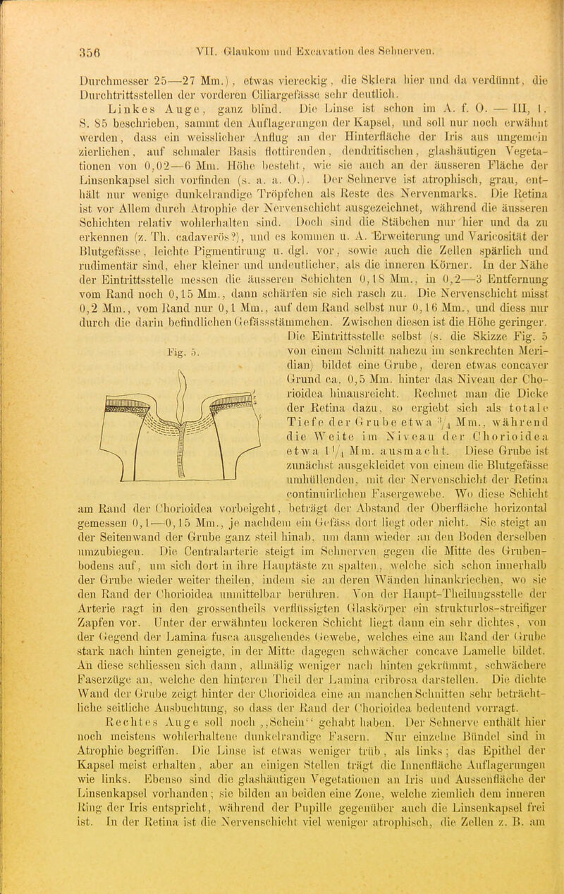 Durchmesser 25—27 Mm.) , etwas viereckig, ilie Sklera iiier und da verdünnt, die Durchtrittsstelleu der vorderen Ciliargefässe sehr deutlich. Linkes Auge, ganz blind. L)i(^ Linse ist schon im A. f. 0. — III, L S. 85 beschrieben, sammt den Auflagerungen der Kapsel, und soll nur noch erwähnt werden, dass ein weisslicher Anflug an der Hinterfläche der Iris aus ungemein zierliclien, auf schmaler Basis flottirenden, dcuidritisclien, glashäutigeu Vegeta- tionen von 0,02—6 Mm. Höhe besteht, wie sie auch an der äusseren Fläche der Linsenkapsel sich vorfinden (s. a. a. 0.). Der Selmerve ist atroplusch, grau, ent- hält nur wenige dunkelrandige l'röpfclien als Reste des Nervenmarks. Die lietina ist vor Allem durch Atrophie der Ncii'venschicht ausgezeichnet, während die äusseren Schichten relativ wolilerlialteu sind. Doch sind die Stäbchen nui' hier und da zu erkennen (z. Th. cadaverös ?), und es kommen u. A. 'Erweiterung und Varioosität der Blutgefässe, leichte Pigraeutirung u.dgl. vor, sowie auch die Zellen spärlich und rudimentär sind, eher kleinei- und und(!Utliclier, als die inneren Körner. In der Nähe der Eintrittsstelle messen die äusseren Schichten 0,18 Mm., in 0,2—'6 Entfernung vom Rand noch 0,15 Mm., dann schärfen sie sich rasch zu. Die Nervenschicht misst 0,2 Mm., vom Rand nur 0,1 Mm., auf dem Rand selbst nur 0,1 ß Mm., und diess nur durcli die darin befindlichen (}efässstämmchen. Zwischen diesen ist die Höhe geringer. Die Eintrittsstelle selbst (s. die Skizze Fig. 5 Fig. 5. von einem Schnitt nahezu im senkrechten Meri- dian) bildet eine Grube, deren etwas concavej- Grund ca. 0,5 Mm. hinter das Niveau der Cho- rioidea hiuausreicht. Rechnet man die Dicke der Retina dazu, so ergiebt sich als totale Tiefe der Grube etwa ■'/.j Mm., während die Weite im Niveau der Chorioidea etwa l'/j Mm. ausmacht. Diese Grube ist zunächst ausgekleidet von einem die Blutgefässe umhüllenden, mit der Nervenschiclit der Retina continuirlichen FasergcAvebe. Wo diese Schicht am Rand der Chorioidea vorbeigeht, beträgt der Abstand der Oberflädie horizontal gemessen 0,1—0,15 Mm., je nachdem ein Gefäss dort liegt oder nicht. Sie steigt an der Seiten wand der Grube ganz steil hinab, um dann wieder ;in den Boden derselben umzubiegen. Die Centraiarterie steigt im Sehnerven gegen die Mitte des Gruben- bodens auf, um sich dort in ihre Hauptäste zu spalten , welche sich schon innerhalb der Grube wieder weiter theilen, indem sie an deren Wänden Idnankriecheu, wo sie den Rand der Chorioidea unmittelbar berühren. Von der Haupt-Theilungsstelle der Arterie ragt in den grossentheils verflüssigten Glasköi-pcr ein strukturlos-streifiger Zapfen vor. Unter der erwähnten lockeren Schicht liegt dann ein sehr dichtes, von der (liegend dei- Lamina fuscn. ausgehendes (iewebe, welches eine am Rand dei' (Jrube stark nach hinten geneigte, in der Mitte dagegen schwächer concave Lamelle bildet. An diese schliessen sicli dann, allmälig weniger nach hinten gekrümmt, .schwächere Faserziige an, welche den hintei'cn Tlieil der Laniiua cribrosa darstellen. Die dichte Wand der Grube zeigt hinter dei' Chorioidea eine ;ui manchen Schnitten sehr beträcht- liche seitliche Ausbuchtung, so dass der Raud der Chorioidea bedeutend vorragt. Rechtes Auge soll noch ,,Schein gehabt haben. Der Sehnerve enthält hier noch meistens wohlerhaltene dunkelrandige Fasern. Nur einzelne Bündel sind in Atrophie begritfen. Die Linse ist etwas weniger trüb , als links ; das Epithel der Kapsel meist erhalten, aber an einigen Stellen trägt die Innenfläche Auflagerungen wie links. Ebenso sind die glashäutigeu Vegetationen au Iris und Aussenfläche der Linsenkapsel vorhanden; sie bilden an beiden eine Zone, welche ziemlich dem inneren Ring der Iris entspricht, während der Pupille gegenüber auch die Linsenkapsel frei ist. In der Retina ist die Nervenschicht viel weniger atrophisch, die Zellen z. B. am