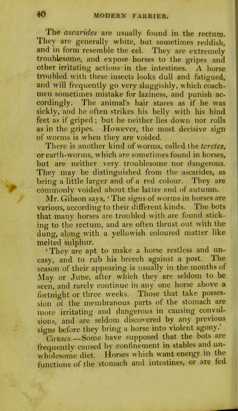 The ascarides are usually found in the rectum. They are generally white, but sometimes reddish, and in form resemble the eel. They are extremely troublesome, and expose horses to the gripes and other irritating actions in the intestines. A horse troubled with these insects looks dull and fatigued, and will frequently go very sluggishly, which coach- men sometimes mistake for laziness, and punish ac- cordingly. The animal's hair stares as if he was sickly, and he often strikes his belly with his hind feet as if griped; but he neither lies down nor rolls as in the gripes. However, the most decisive sign of worms is when they are voided. There is another kind of worms, called the tereies, or earth-worms, which are sometimes found in horses, but are neither very troublesome nor dangerous. They may be distinguished from the ascarides, as being a little larger and of a red colour. They are c6mmonly voided about the latter end of autumn. Mr. Gibson says,' The signs of worms in horses are various, according to their different kinds. The bots that many horses are troubled with are found stick- ing to the rectum, and are often thrust out with the dung, along with a yellowish coloured matter like melted sulphur. 'They are apt to make a horse restless and un- easy, and to rub his breech against a post. The season of their appearing is usually in the months of May or June, after which they are seldom to be seen, and rarely continue in any one horse above a fortnight or three weeks. Those that take posses- sion of the membranous parts of the stomach are more irritating and dangerous in causing convul- sions, and are seldom disco^'e^ed by any previous signs before they bring a horse into violent agony.' Causes.—^ome have supposed that the bots are frequently caused by confinement in stables and un- wholesome diet. Horses which want energy in the functions of the stomach and intestines, or are fed