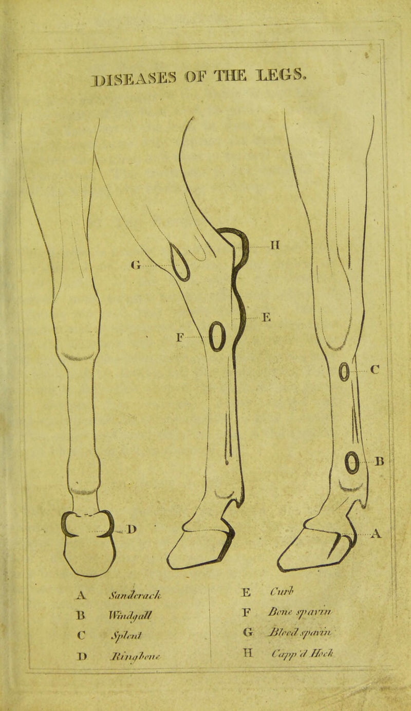 l^ISKASES OF THE I£OS. A SanSrrack E Curh C Sfr,i1 \ <^ Ji/rrJ r/uniiv