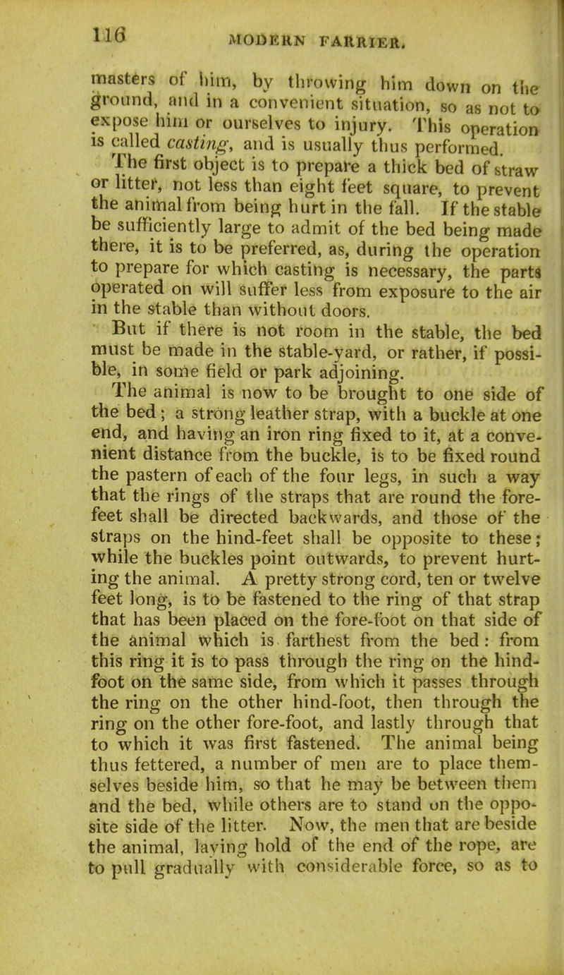 masters of liim, by throwing him down on the ground, and in a convenient situation, so as not to expose him or ourselves to injury. This operation IS called casting, and is usually thus performed. The first object is to prepare a thick bed of straw or litter, not less than eight feet square, to prevent the animal from being hurt in the fall. If the stable be sufficiently large to admit of the bed being made there, it is to be preferred, as, during the operation to prepare for which casting is necessary, the parts operated on will suffer less from exposure to the air in the stable than without doors. But if there is not room in the stable, the bed must be made in the stable-yard, or rather, if possi- ble, in some field or park adjoining. The animal is now to be brought to one side of the bed; a strong leather strap, with a buckle at one end, and having an iron ring fixed to it, at a conve- nient distance from the buckle, is to be fixed round the pastern of each of the four legs, in such a way that the rings of the straps that are round the fore- feet shall be directed backwards, and those of the straps on the hind-feet shall be opposite to these; while the buckles point outwards, to prevent hurt- ing the animal. A pretty strong cord, ten or twelve feet long, is to be fastened to the ring of that strap that has been placed on the fore-foot on that side of the animal which is farthest from the bed: from this ring it is to pass through the ring on the hind- foot on the same side, from which it passes through the ring on the other hind-foot, then through the ring on the other fore-foot, and lastly through that to which it was first fastened. The animal being thus fettered, a number of men are to place them- iselves beside him, so that he may be between them and the bed, while others are to stand on the oppo- site side of the litter. Now, the men that are beside the animal, laving hold of the end of the rope, are to pull gradually with considerable force, so as to