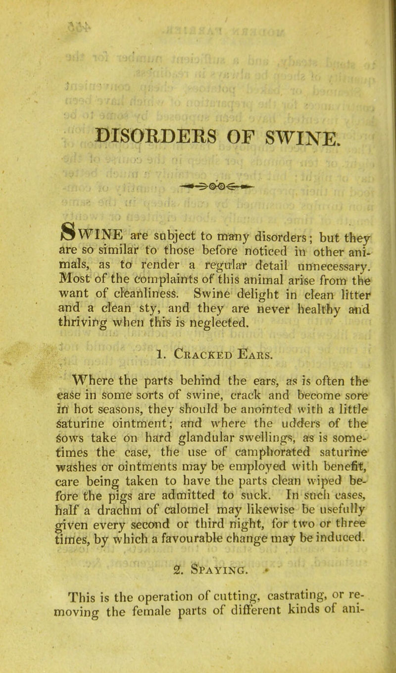 DrSORDERS OF SWINE. WINE are subject to many disorders; but they are so similar to those before noticed in other ani- rnals, as to render a regular detail unnecessary. Most of the complaints of this animal arise from the want of cleanliness. Swine delight in clean litter and a clean sty, and they are never healthy and thriving when thiis is neglected. 1. Cracked Ears. Where the parts behind the ears, as is often the ea^e in some sorts of swine, crack and become sore in hot seasons, they should be anointed with a little ^aturine ointment; and where the udders of the 6ows take on hard glandular swellings, as is some- times the case, the use of camphorated saturine washes or ointments may be employed with benefit, care being taken to have the parts clean wiped be- fore the pigs are admitted to suck. In such cases, half a drachm of calomel may likewise be usefully given every second or third night, for two or three times, by which a favourable change may be induced. 2. Spaying. ♦ This is the operation of cutting, castrating, or re- moving the female parts of different kinds of ani-