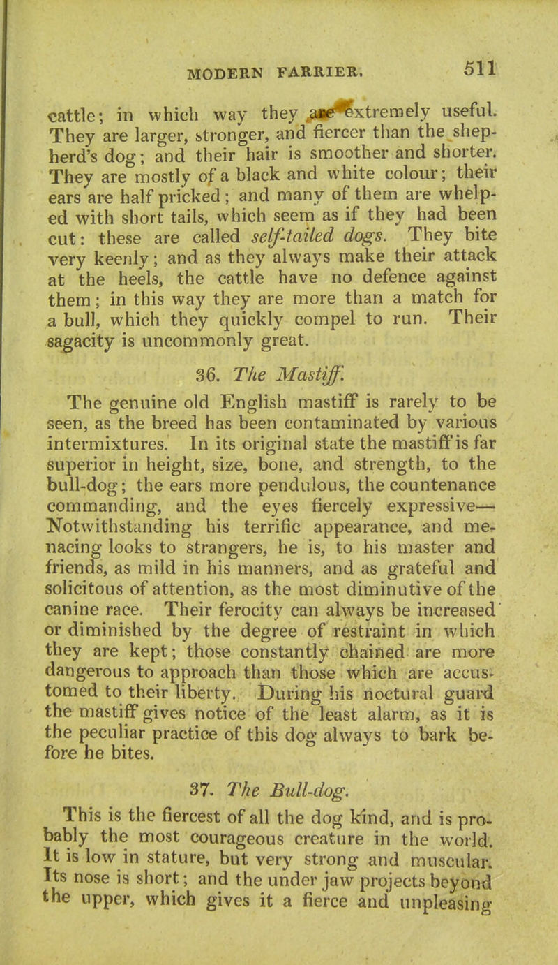 cattle; in which way they .aae^xtremely useful They are larger, stronger, and fiercer than the shep- herd's dog; and their hair is smoother and shorter. They are mostly of a black and white colour; their ears are half pricked; and many of them are whelp- ed with short tails, which seem as if they had been cut: these are called self-tailed dogs. They bite very keenly; and as they always make their attack at the heels, the cattle have no defence against them; in this way they are more than a match for a bull, which they quickly compel to run. Their sagacity is uncommonly great. 36. The Mastiff. The genuine old English mastiff is rarely to be seen, as the breed has been contaminated by various intermixtures. In its original state the mastiff'is far superior in height, size, bone, and strength, to the bull-dog; the ears more pendulous, the countenance commanding, and the eyes fiercely expressive— Notwithstanding his terrific appearance, and me^ nacing looks to strangers, he is, to his master and friends, as mild in his manners, and as grateful and solicitous of attention, as the most diminutive of the canine race. Their ferocity can always be increased or diminished by the degree of restraint in wliich they are kept; those constantly chained are more dangerous to approach than those which are accus- tomed to their liberty. During his noctural guard the mastiff gives notice of the least alarm, as it is the peculiar practice of this dog always to bark be- fore he bites. 37. The Bull-dog. Th is is the fiercest of all the dog kind, and is pro* bably the most courageous creature in the world. It is low in stature, but very strong and muscular. Its nose is short; and the under jaw projects beyond the upper, which gives it a fierce and unpleasing