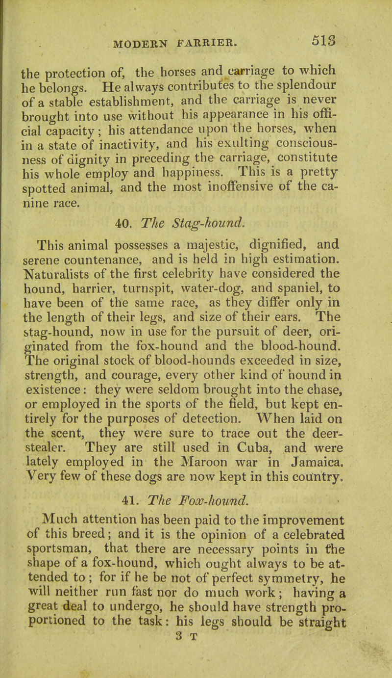 the protection of, the horses and carriage to which he belongs. He always contributes to the splendour of a stable establishm'ent, and the carriage is never brought into use without his appearance in his offi- cial capacity; his attendance upon the horses, when in a state of inactivity, and his exulting conscious- ness of dignity in preceding the carriage, constitute his whole emiploy and happiness. This is a pretty spotted animal, and the most inoffensive of the ca- nine race. 40. The Stag-hound, This animal possesses a majestic, dignified, and serene countenance, and is held in high estimation. Naturalists of the first celebrity have considered the hound, harrier, turnspit, water-dog, and spaniel, to have been of the same race, as they differ only in the length of their legs, and size of their ears. The stag-hound, now in use for the pursuit of deer, ori- ginated from the fox-hound and the blood-hound. The original stock of blood-hounds exceeded in size, strength, and courage, every other kind of hound in existence: they were seldom brought into the chase, or employed in the sports of the field, but kept en- tirely for the purposes of detection. When laid on the scent, they were sure to trace out the deer- stealer. They are still used in Cuba, and were lately employed in the Maroon war in Jamaica. Very few of these dogs are now kept in this country. 4)1. The Fooo-hound. Much attention has been paid to the improvement of this breed; and it is the opinion of a celebrated sportsman, that there are necessary points in the shape of a fox-hound, which ought always to be at- tended to ; for if he be not of perfect symmetry, he will neither run fast nor do much work; having a great deal to undergo, he should have strength pro- portioned to the task: his legs should be straight