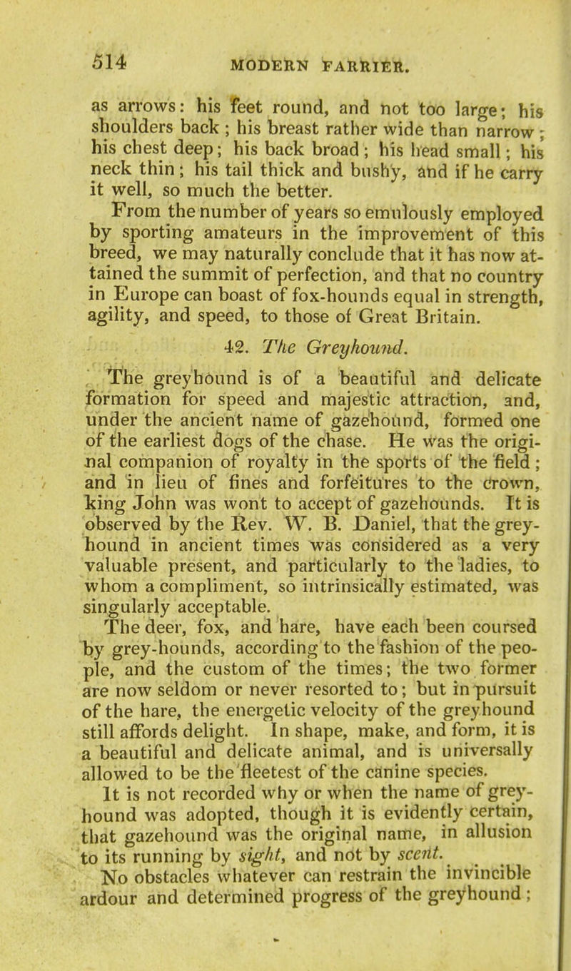 as arrows: his feet round, and not too large; his shoulders back ; his breast rather wide than narrow ; his chest deep; his back broad ; his head small; his neck thin; his tail thick and bushy, and if he carry it well, so much the better. From the number of years so emulously employed by sporting amateurs in the improvement of this breed, we may naturally conclude that it has now at- tained the summit of perfection, and that no country in Europe can boast of fox-hounds equal in strength, agility, and speed, to those of Great Britain. 4}2. The Greyhound. ] T^he greyhound is of a beautiful and delicate Formation for speed and majestic attraction, and, under the ancient name of gazehound, formed one of the earliest dogs of the chase. He was the origi- nal companion of royalty in the spotts of the field; and in lieu of fines and forfeitures to the c*rown, king John was wont to accept of gazehounds. It is observed by the Rev. W. B. Daniel, that the grey- hound in ancient times %vas considered as a very valuable present, and particularly to the ladies, to whom a compliment, so intrinsically estimated, was singularly acceptable. The deer, fox, and hare, have each been coursed by grey-hounds, according to the fashion of the peo- ple, and the custom of the times; the two former are now seldom or never resorted to; but in pursuit of the hare, the energetic velocity of the greyhound still affords delight. In shape, make, and form, it is a beautiful and delicate animal, and is universally allowed to be the fleetest of the canine species. It is not recorded why or when the name of grey- hound was adopted, though it is evidently certain, that gazehound was the original name, in allusion to its running by sight, and not by scent. No obstacles whatever can restrain the invincible ardour and determined progress of the greyhound ;
