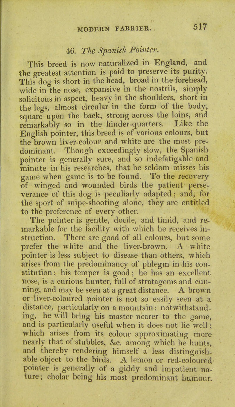 46. The Spanish Pointer. This breed is now naturalized in England, and the greatest attention is paid to preserve its purity. This dog is short in the head, broad in the forehead, wide in1;he nose, expansive in the nostrils, simply- solicitous in aspect, heavy in the shoulders, short in the legs, almost circular in the form of the body, square upon the back, strong across the loins, and remarkably so in the hinder-quarters. Like the English pointer, this breed is of various colours, but the brown liver-colour and white are the most pre- dominant. Though exceedingly slow, the Spanish pointer is generally sure, and so indefatigable and minute in his researches, that he seldom misses his game when game is to be found. To the recovery of winged and wounded birds the patient perse- verance of this dog is peculiarly adapted; and, for the sport of snipe-shooting alone, they are entitled to the preference of every other. The pointer is gentle, docile, and timid, and re- markable for the facility with which he receives in- struction. There are good of all colours, but some prefer the white and the liver-brown. A white pointer is less subject to disease than others, which arises from the predominancy of phlegm in his con- stitution; his temper is good; he has an excellent nose, is a curious hunter, full of stratagems and cun- ning, and may be seen at a great distance. A brown or liver-coloured pointer is not so easily seen at a distance, particularly on a mountain; notwithstand- ing, he will bring his master nearer to the game, and is particularly useful when it does not lie well; which arises from its colour approximating more nearly that of stubbles, he. among which he hunts, and thereby rendering himself a less distinguish- able object to the birds. A lemon or red-coloured pointer is generally of a giddy and impatient na- ture; cholar being his most predominant humour.