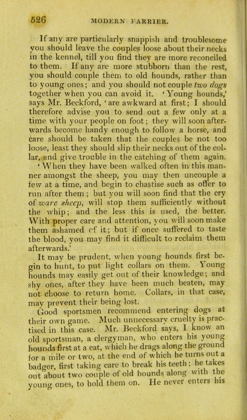 If any are particularly snappish and troublesome you should leave the couples loose about their necks in the kennel, till you find they are more reconciled to them. If any are more stubborn than the rest, you should couple them to old hounds, rather than to young ones; and you should not couple two dogs together when you can avoid it. 'Young hounds,' says Mr. Beckford, * are awkward at first; I should therefore advise you to send out a few only at a time wath your people on foot; they will soon after- wards become handy enough to follow a horse, and care should be taken that the couples be not too loose, least they should slip their necks out of the col- lar, and give trouble in the catching of them again. ' When they have been walked often in this man- ner amongst the sheep, you may then uncouple a few at a time, and begin to chastise such as offer to run after them ; but you will soon find that the cry of ware sheep, will stop them sufficiently without the whip; and the less this is used, the better. With proper care and attention, you will soon make them ashamed cf it; but if once suffered to taste the blood, you may find it difficult to reclaim them afterwards.' It may be prudent, when young hounds first be- gin to hunt, to put light collars on them. Young hounds may easily get out of their knowledge; and shy ones, after they have been much beaten, may not choose to return home. Collars, in that case, may prevent their being lost. Good sportsmen recommend entering dogs at their own game. Much unnecessary cruelty is prac- tised in this case. Mr. Beckford says, I know an old sportsman, a clergyman, who enters his young hounds first at a cat, which he drags along the ground for a mile or two, at the end of which he turns out a badger, first taking care to break his teeth; be takes out about two couple of old hounds along with the youncr ones, to hold them on. He never enters his