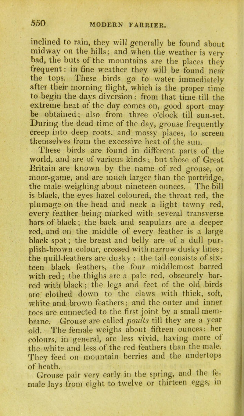 inclined to rain, they will generally be found about midway on the hills; and when the weather is very bad, the buts oftlie mountains are the places they frequent: in fine weather they will be found near the tops. These birds go to water immediately after their morning flight, which is the proper time to begin the days diversion : from that time till the extreme heat of the day comes on, good sport may be obtained; also from three o'clock till sun-set. During the dead time of the day, grouse frequently creep into deep roots, and mossy places, to screen themselves from the excessive heat of the sun. These birds are found in different parts of the world, and are of various kinds; but those of Great Britain are known by the name of red grouse, or moor-game, and are much larger than the partridge, the male weighing about nineteen ounces. The bill is black, the eyes hazel coloured, the throat red, the plumage on the head and neck a light tawny red, every feather being marked with several transverse bars of black; the back and scapulars are a deeper red, and on the middle of every feather is a large black spot; the breast and belly are of a dull pur- plish-brown colour, crossed with narrow dusky lines ; the quill-feathers are dusky : the tail consists of six- teen black feathers, tlie four middlemost barred with red; the thighs are a pale red, obscurely bar- red with black; the legs and feet of the old birds are clothed down to the claws with thick, soft, white and brown feathers; and the outer and inner toes are connected to the first joint by a small mem- brane. Grouse are called pouUa till they are a year old. The female weighs about fifteen ounces: her colours, in general, are less vivid, having more of the white and less of the red feathers than the male. They feed on mountain berries and the undertops ^ of heath. Grouse pair very early in the spring, and the fe- male lays from eight to twelve or thirteen eggs, in