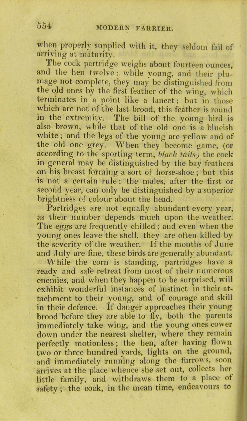 when properly supplied with it, they seldom fail of arriving at maturity. The cock partridge weighs about fourteen ounces, and the hen twelve: while young, and their plu- mage not complete, they may be distinguished from the old ones by the first feather of the wing, which terminates in a point like a lancet; but in tliose which are not of the last brood, this feather is round in the extremity. The bill of the young bird is also brown, while that of the old one is a blueish white; and the legs of the young are yellow and of the old one grey. When they become ^>ame, (or according to the sporting term, black tailsj the cock in general may be distinguished by the bay feathers on his breast forming a sort of horse-shoe ; but this is not a certain rule: the males, after the first or second year, can only be distinguished by a superior brightness of colour about the head. Partridges are not equally abundant every year, as their number depends much upon the weather. The eggs are frequently chilled ; and even when the young ones leave the shell, they are often killed by the severity of the weather. If the months of June and July are fine, these birds are generally abundant. While the corn is standing, partridges have a ready and safe retreat from most of their numerous enemies, and when they happen to be surprised, will exhibit wonderful instances of instinct in their at- tachment to their young, and of courage and skill in their defence. If danger approaches their young brood before they are able to fly, both the parents immediately take wing, and the young ones cower down under the nearest shelter, where they remain perfectly motionless; the hen, after having flown two or three hundred yards, lights on the ground, and immediately running along the furrows, soon arrives at the place whence she set out, collects her little family, and withdraws them to a place of safety ; the cock, in the mean time, endeavours to