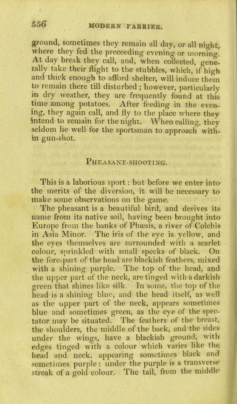 $56 gj-ound, sometimes they remain all day, or all night, where they fed the preceeding evening or morning! At day break they call, and, when collected, gene- rally take their flight to the stubbles, which, if high and thick enough to afford shelter, will induce them to remain there till disturbed; however, particularly in dry weather, they are frequently found at this time among potatoes. After feeding in the even- ing, they again call, and fly to the place where they intend to remain for the night. When calling, they seldom lie well for the sportsman to approach with- in gun-shot. Pheasant-shooting. This is a laborious sport: but before we enter into the merits of the diversion, it will be necessary to make some observations on the game. The pheasant is a beautiful bird, and derives its name from its native soil, having been brought into Europe from the banks of Ph£esis, a river of Colchis in Asia Minor. The iris of the eye is yellow, and the eyes themselves are surrounded with a scarlet colour, sprinkled with small specks of black. On the fore-part of the head are blackish feathers, mixed with a shining purple. The top of the head, and the upper part of the neck, are tinged with a darkish green that shines like silk. In some, the top of the head is a shining blue, and the head itself, as well as the upper part of the neck, appears sometimes blue and sometimes green, as the eye of the spec- tator may be situated. The feathers of the breast, the shoulders, the middle of the back, and the sides under the wings, have a blackish ground, with edges tinged with a colour which varies like the head and neck, appearing sometimes black and sometimes purple : under the purple is a transverse streak of a gold colour. The tail, from the middle