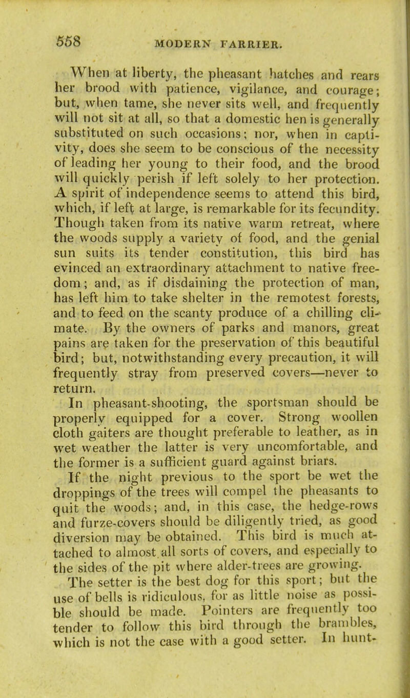 When at liberty, the pheasant hatches and rears her brood with patience, vigilance, and courage; but, when tame, she never sits well, and frequently will not sit at all, so that a domestic hen is generally substituted on such occasions; nor, when in capti- vity, does she seem to be conscious of the necessity of leading her young to their food, and the brood will quickly perish if left solely to her protection. A spirit of independence seems to attend this bird, which, if left at large, is remarkable for its fecundity. Though taken from its native warm retreat, where the woods supply a variety of food, and the genial sun suits its tender constitution, this bird has evinced an extraordinary attachment to native free- dom ; and, as if disdaining the protection of man, has left him to take shelter in the remotest forests, and to feed on the scanty produce of a chilling cli- mate. By the owners of parks and manors, great pains are taken for the preservation of this beautiful bird; but, notwithstanding every precaution, it will frequently stray from preserved covers—never to return. In pheasant-shooting, the sportsman should be properly equipped for a cover. Strong woollen cloth gaiters are thought preferable to leather, as in wet weather the latter is very uncomfortable, and the former is a sufficient guard against briars. If the night previous to the sport be wet the droppings of the trees will compel the pheasants to quit the woods; and, in this case, the hedge-rows and furze-covers should be diligently tried, as good diversion may be obtained. This bird is much at- tached to almost.all sorts of covers, and especially to the sides of the pit where alder-trees are growing. The setter is the best dog for this sport; but the use of bells is ridiculous, for as little noise as possi- ble should be made. Pointers are frequently too tender to follow this bird through the brambles, which is not the case with a good setter. In hunt-
