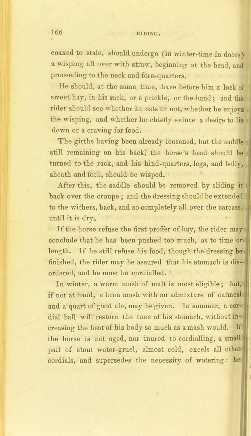 coaxed to stale, should undergo (in winter-time in doors) a wisping all over with straw, beginning at the head, and proceeding to the neck and fore-quarters. He should, at the same time, have before him a lock of sweet hay, in his rack, or a prickle, or the-hand ; and the rider should see whether he eats or not, whether he enjoys the wisping, and whether he chiefly evince a desire to lie down or a craving for food. The girths having been already loosened, but the saddle still remaining on his back; the horse's head should be turned to the rack, and his hind-quarters, legs, and belly, sheath and fork, should be wisped. After this, the saddle should be removed by sliding it back over the croupe ; and the dressing should be extended, to the withers, back, and so completely all over the carcass, i until it is dry. If the horse refuse the first proffer of hay, the rider may conclude that he has been pushed too much, as to time or>: length. If he still refuse his food, though the dressing be I finished, the rider may be assured that his stomach is dis-i ordered, and he must be cordialled. In winter, a warm mash of malt is most eligible; but, 1 if not at hand, a bran mash with an admixture of oatmeal j and a quart of good ale, may be given. In summer, a cor dial ball will restore the tone of his stomach, without in creasing the heat of his body so much as a mash would. If the horse is not aged, nor inured to cordialling, a small pail of stout water-gruel, almost cold, excels all othe cordials, and supersedes the necessity of watering: he