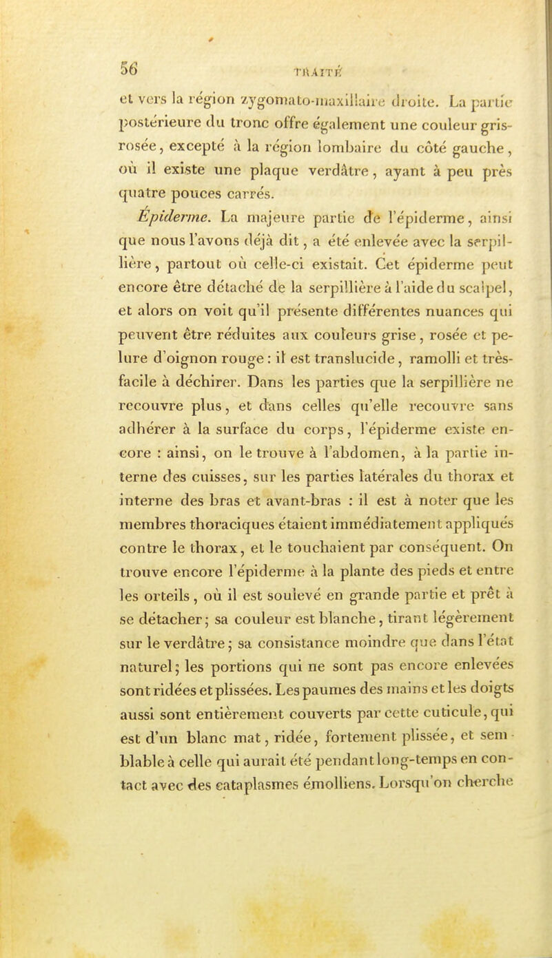 et vers la région xYgomato-maxiliaire droite. La partie postérieure tUi tronc offre également une couleur gris- rosée, excepté à la région lombaire du côté gauche, où il existe une plaque verdâtre, ayant à peu près quatre pouces carrés. Épidémie. La majeure partie d'e l'épiderme, ainsi que nous l'avons déjà dit, a été enlevée avec la serpil- lière, partout où celle-ci existait. Cet épiderme peut encore être détaché die la serpillière à l'aide du scalpel, et alors on voit qu'il présente différentes nuances qui peuvent être réduites aux couleurs grise, rosée et pe- lure d'oignon rouge : il est translucide, ramolli et très- facile à déchirer. Dans les parties que la serpillière ne recouvre plus, et dans celles qu'elle recouvre sans adhérer à la surface du corps, l'épiderme existe en- core : ainsi, on le trouve à l'abdomen, à la partie in- terne des cuisses, sur les parties latérales du thorax et interne des bras et avant-bras : il est à noter que les membres thoraciques étaient immédiatement appliqués contre le thorax, et le touchaient par conséquent. On trouve encore l'épiderme à la plante des pieds et entre les orteils, où il est soulevé en grande partie et prêt à se détacher; sa couleur est blanche, tirant légèrement sur le verdâtre; sa consistance moindre que dans l'état naturel ; les portions qui ne sont pas encore enlevées sont ridées et plissées. Les paumes des mains et les doigts aussi sont entièrement couverts par cette cuticule, qui est d'un blanc mat, ridée, fortement plissée, et sem ■ blableà celle qui aurait été pendant long-temps en con- tact avec «les cataplasmes éjnolliens. Lorsqu'on cherche