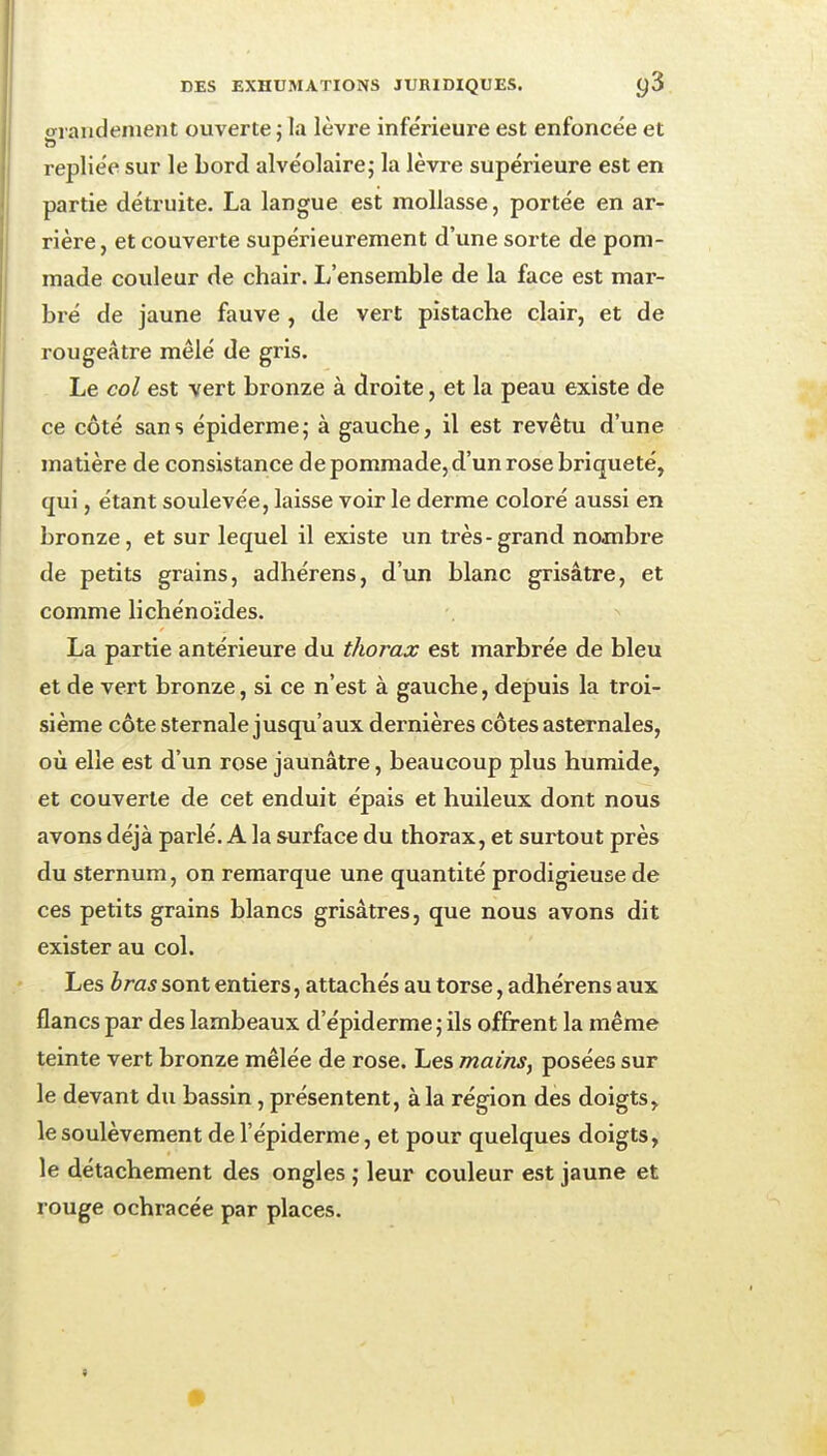 grandement ouverte j la lèvre infe'rieure est enfoncée et repliée sur le bord alvéolaire; la lèvre supérieure est en partie détruite. La langue est mollasse, portée en ar- rière, et couverte supérieurement d'une sorte de pom- made couleur de chair. L'ensemble de la face est mar- bré de jaune fauve , de vert pistache clair, et de rougeâtre mêlé de gris. Le col est vert bronze à droite, et la peau existe de ce côté sans épiderme; à gauche, il est revêtu d'une matière de consistance de pommade, d'un rose briqueté, qui, étant soulevée, laisse voir le derme coloré aussi en bronze, et sur lequel il existe un très-grand nombre de petits grains, adhérens, d'un blanc grisâtre, et comme lichénoïdes. La partie antérieure du thorax est marbrée de bleu et de vert bronze, si ce n'est à gauche, depuis la troi- sième côte sternale jusqu'aux dernières côtes asternales, où elle est d'un rose jaunâtre, beaucoup plus humide, et couverte de cet enduit épais et huileux dont nous avons déjà parlé, A la surface du thorax, et surtout près du sternum, on remarque une quantité prodigieuse de ces petits grains blancs grisâtres, que nous avons dit exister au col. Les bras sont entiers, attachés au torse, adhérens aux flancs par des lambeaux d'épiderme ; ils offrent la même teinte vert bronze mêlée de rose. Les mains, posées sur le devant du bassin, présentent, à la région des doigts, le soulèvement de l'épiderme, et pour quelques doigts, le détachement des ongles ; leur couleur est jaune et rouge ochracée par places.