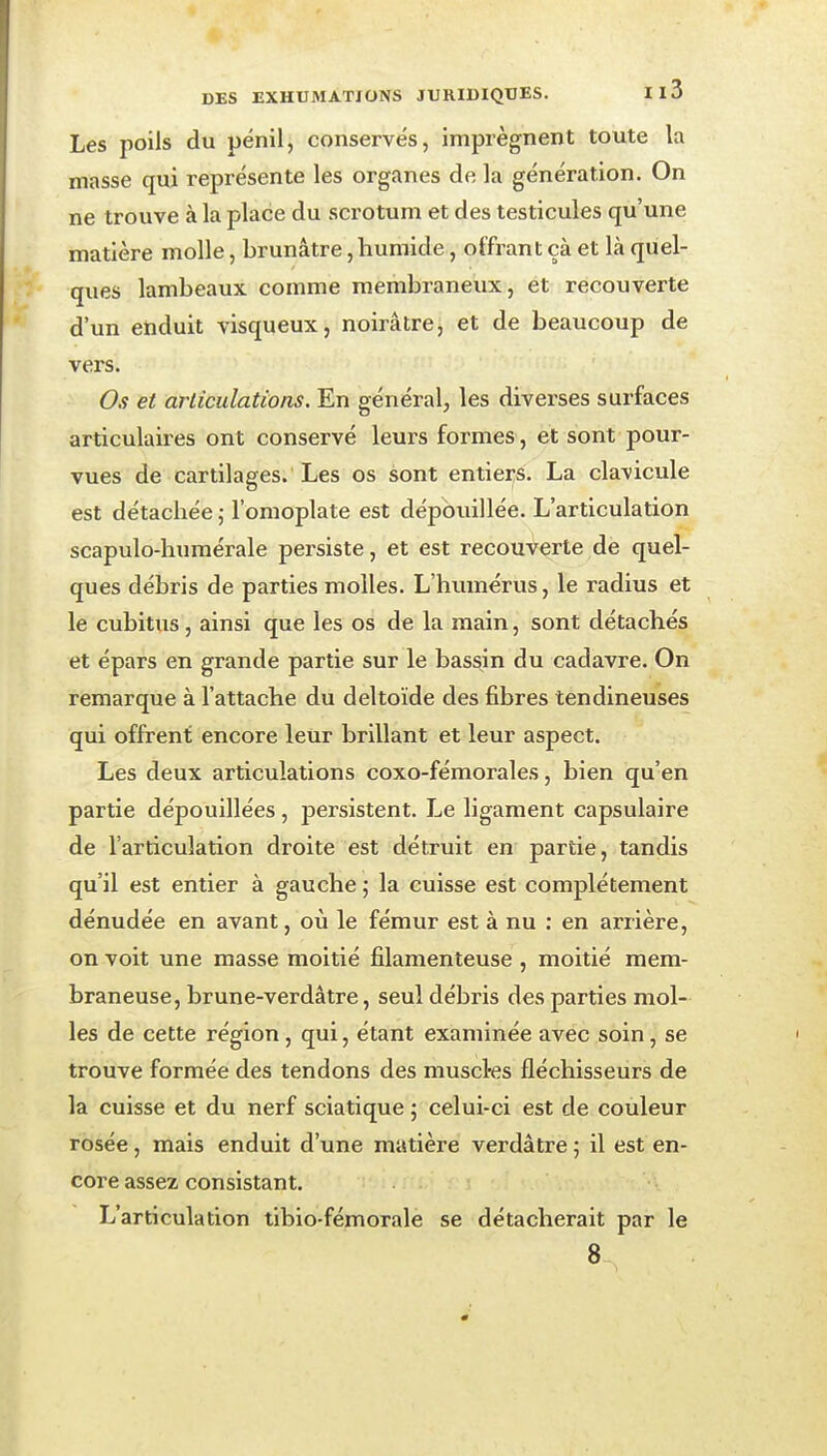 Les poils du pénil, conservés, imprègnent toute la masse qui représente les organes de la génération. On ne trouve à la place du scrotum et des testicules qu'une matière molle, brunâtre,humide, offrant çà et là quel- ques lambeaux comme membraneux, et recouverte d'un ehduit visqueux, noirâtre, et de beaucoup de vers. Os et articulations. En général, les diverses surfaces articulaires ont conservé leurs formes, et sont pour- vues de cartilages. Les os sont entiers. La clavicule est détachée ; l'omoplate est dépouillée. L'articulation scapulo-huraérale persiste, et est recouverte de quel- ques débris de parties molles. L'humérus, le radius et le cubitus, ainsi que les os de la main, sont détachés et épars en grande partie sur le bassin du cadavre. On remarque à l'attache du deltoïde des fibres tendineuses qui offrent encore leur brillant et leur aspect. Les deux articulations coxo-fémorales, bien qu'en partie dépouillées, persistent. Le ligament capsulaire de l'articulation droite est détruit en partie, tandis qu'il est entier à gauche ; la cuisse est complètement dénudée en avant, où le fémur est à nu : en arrière, on voit une masse moitié filamenteuse , moitié mem- braneuse, brune-verdâtre, seul débris des parties mol- les de cette région, qui, étant examinée avec soin, se trouve formée des tendons des muscl-es fléchisseurs de la cuisse et du nerf sciatique 5 celui-ci est de couleur rosée, mais enduit d'une matière verdâtre ; il est en- core assez consistant. L'articulation tibio-fémorale se détacherait par le 8,