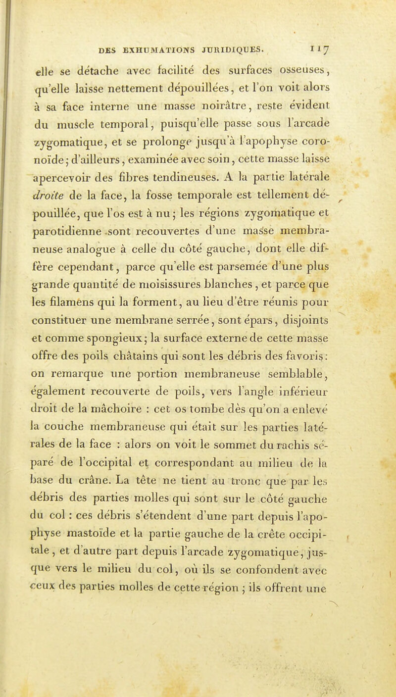 elle se détache avec facilité des surfaces osseuses, qu'elle laisse nettement dépouillées, et l'on voit alors à sa face interne une masse noirâtre, reste évident du muscle temporal, puisqu'elle passe sous l'arcade zygomatique, et se prolonge jusqu'à l'apophyse coro- noïde ; d'ailleurs, examinée avec soin, cette masse laisse apercevoir des fibres tendineuses, A la partie latérale droite de la face, la fosse temporale est tellement dé- pouillée, que l'os est à nu j les régions zygomatique et parotidienne .sont recouvertes d'une ma^se membra- neuse analogue à celle du côté gauche, dont elle dif- fère cependant, parce qu'elle est parsemée d'une plus grande quantité de moisissures blanches, et parce que les filamens qui la forment, au lieu d'être réunis pour constituer une membrane serrée, sont épars, disjoints et comme spongieux ; la surface externe de cette masse offre des poils châtains qui sont les débris des favori§; on remarque ime portion membraneuse semblable, également recouverte de poils, vers l'angle inférieur droit de la mâchoire : cet os tombe dès qu'on a enlevé la couche membraneuse qui était sur les parties laté- rales de la face : alors on voit le sommet du rachis sé- paré de l'occipital et correspondant au milieu de la base du crâne. La tête ne tient au tronc que par les débris des parties molles qui sont Sur le côté gauche du col : ces débris s'étendent d'une part depuis l'apo- physe mastoïde et la partie gauche de la crête occipi- tale, et d'autre part depuis l'arcade zygomatique, jus- que vers le milieu du col, où ils se confondent avec ceux des parties molles de cette région j ils offrent une