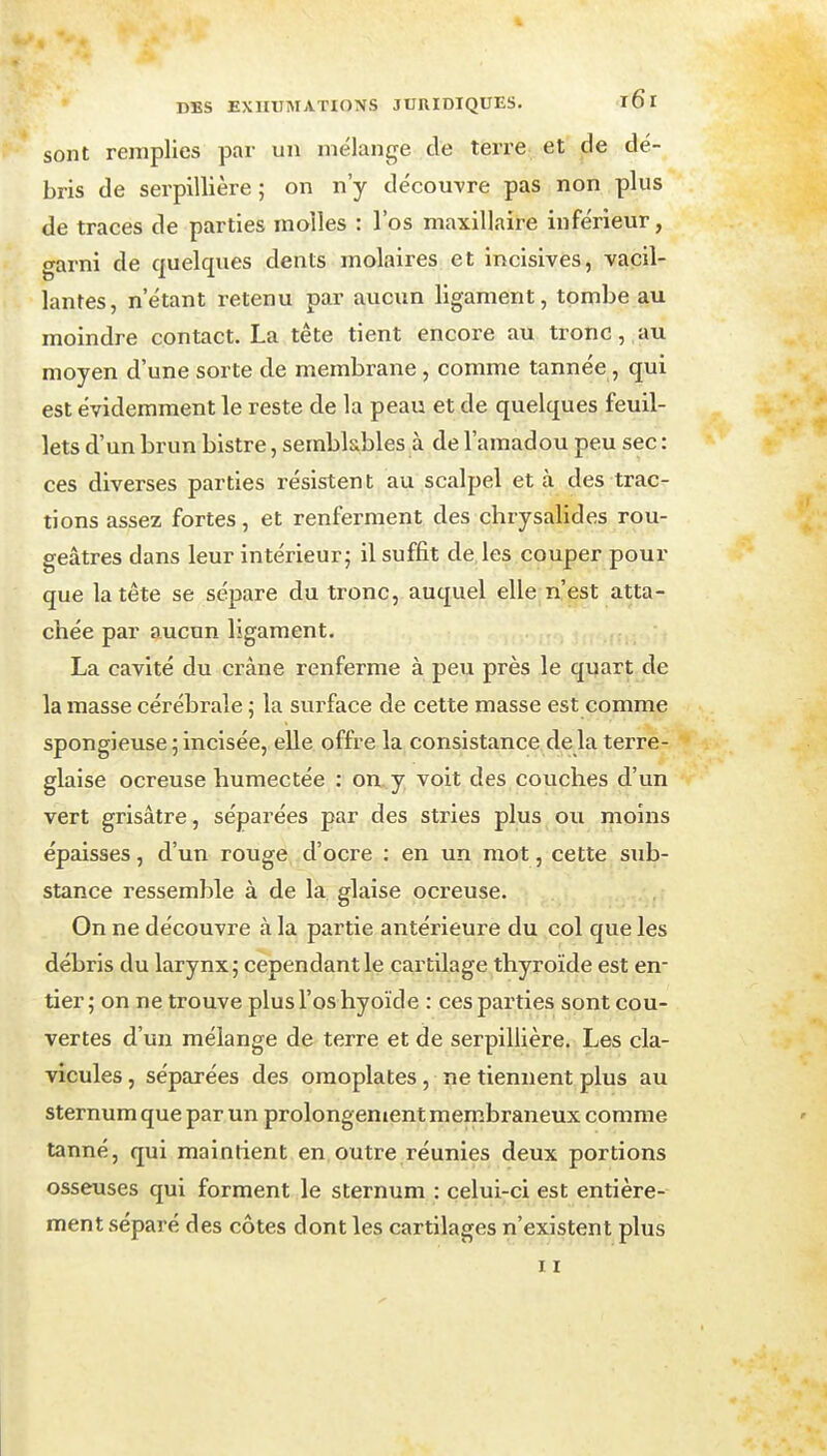 sont remplies par un mélange de terre et de dé- bris de serpillière ; on n'y découvre pas non plus de traces de parties molles : l'os maxillaire inférieur, garni de quelques dents molaires et incisives, vacil- lantes, n'étant retenu par aucun ligament, tombeau moindre contact. La tête tient encore au tronc,,au moyen d'une sorte de membrane, comme tannée, qui est évidemment le reste de la peau et de quelques feuil- lets d'un brun bistre, semblables à de l'amadou peu sec: ces diverses parties résistent au scalpel et à des trac- tions assez fortes, et renferment des chrysalides rou- geâtres dans leur intérieur; il suffit de, les couper pour que la tête se sépare du tronc, auquel elle n'est atta- chée par aucun ligament. La cavité du crâne renferme à peu près le quart de la masse cérébrale ; la surface de cette masse est comme spongieuse ; incisée, elle offre la consistance de la terre- glaise ocreuse humectée : on. y voit des couches d'un vert grisâtre, séparées par des stries plus ou moins épaisses, d'un rouge d'ocre : en un mot, cette sub- stance ressemble à de la glaise ocreuse. On ne découvre à la partie antérieure du col que les débris du larynx; cependant le cartilage thyroïde est en- tier ; on ne trouve plus l'os hyoïde : ces parties sont cou- vertes d'un mélange de terre et de serpillière. Les cla- vicules , séparées des omoplates, ne tiennent plus au sternum que par un prolongement membraneux comme tanné, qui maintient en outre réunies deux portions osseuses qui forment le sternum : celui-ci est entière- ment séparé des côtes dont les cartilages n'existent plus