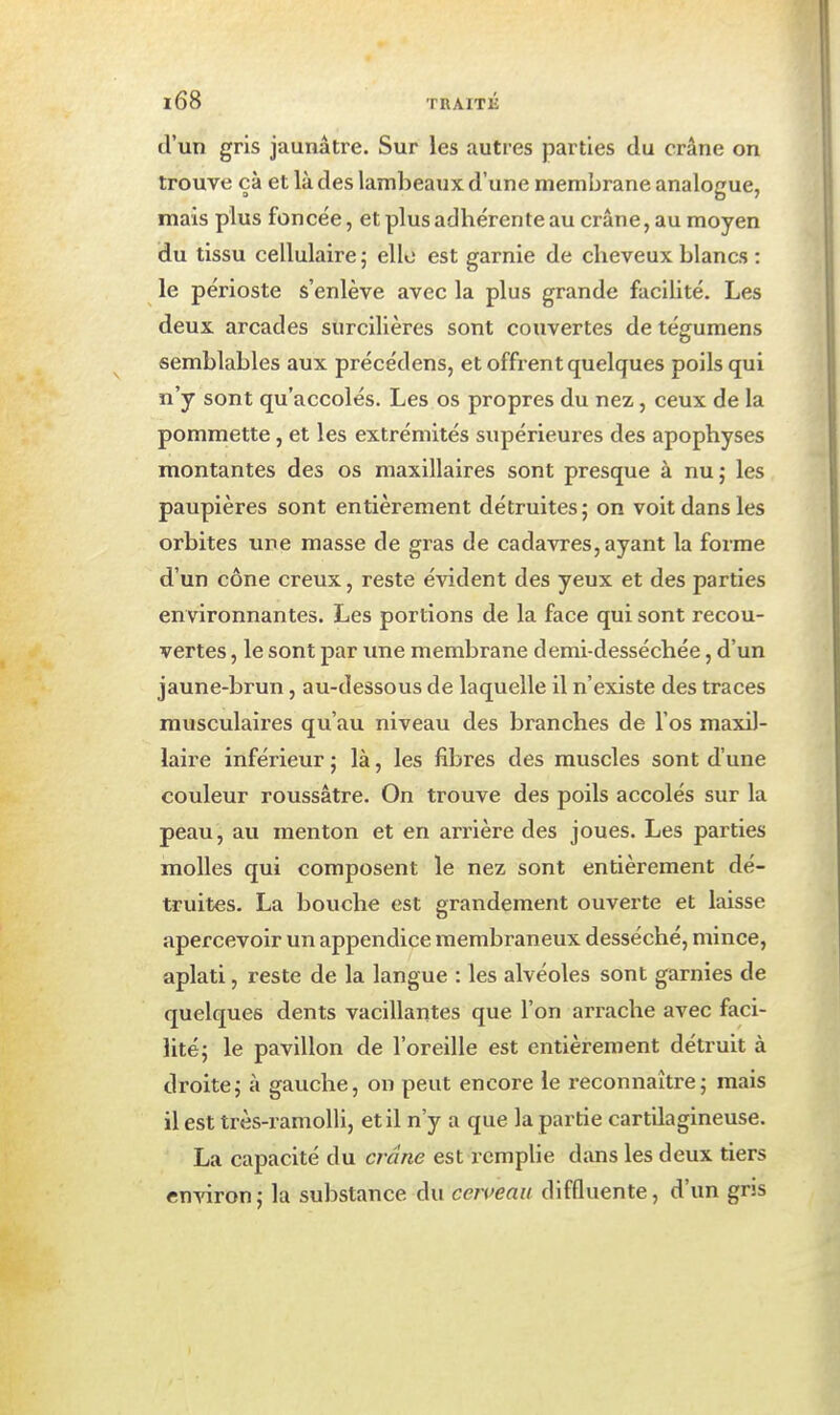 d'un gris jaunâtre. Sur les autres parties du crâne on trouve çà et là des lambeaux d'une membrane analogue, mais plus foncée, et plus adhérente au crâne, au moyen du tissu cellulaire ; elle est garnie de cheveux blancs : le périoste s'enlève avec la plus grande facilité. Les deux arcades surcilières sont couvertes de tégumens semblables aux précédens, et offrent quelques poils qui n'y sont qu'accolés. Les os propres du nez, ceux de la pommette, et les extrémités supérieures des apophyses montantes des os maxillaires sont presque à nu ; les paupières sont entièrement détruites; on voit dans les orbites une masse de gras de cadavres, ayant la forme d'un cône creux, reste évident des yeux et des parties en vironnantes. Les portions de la face qui sont recou- vertes , le sont par ime membrane demi-desséchée, d'un jaune-brun, au-dessous de laquelle il n'existe des traces musculaires qu'au niveau des branches de l'os maxil- laire inférieur ; là, les fibres des muscles sont d'une couleur roussâtre. On trouve des poils accolés sur la peau, au menton et en arrière des joues. Les parties molles qui composent le nez sont entièrement dé- truites. La bouche est grandement ouverte et laisse apercevoir un appendice membraneux desséché, mince, aplati, reste de la langue : les alvéoles sont garnies de quelques dents vacillantes que l'on arrache avec faci- lité; le pavillon de l'oreille est entièrement détruit à droite; à gauche, on peut encore le reconnaître; mais il est très-ramolli, et il n'y a que la partie cartilagineuse. La capacité du crâne est remplie dans les deux tiers environ; la substance du cerueau diffluente, d'un gris