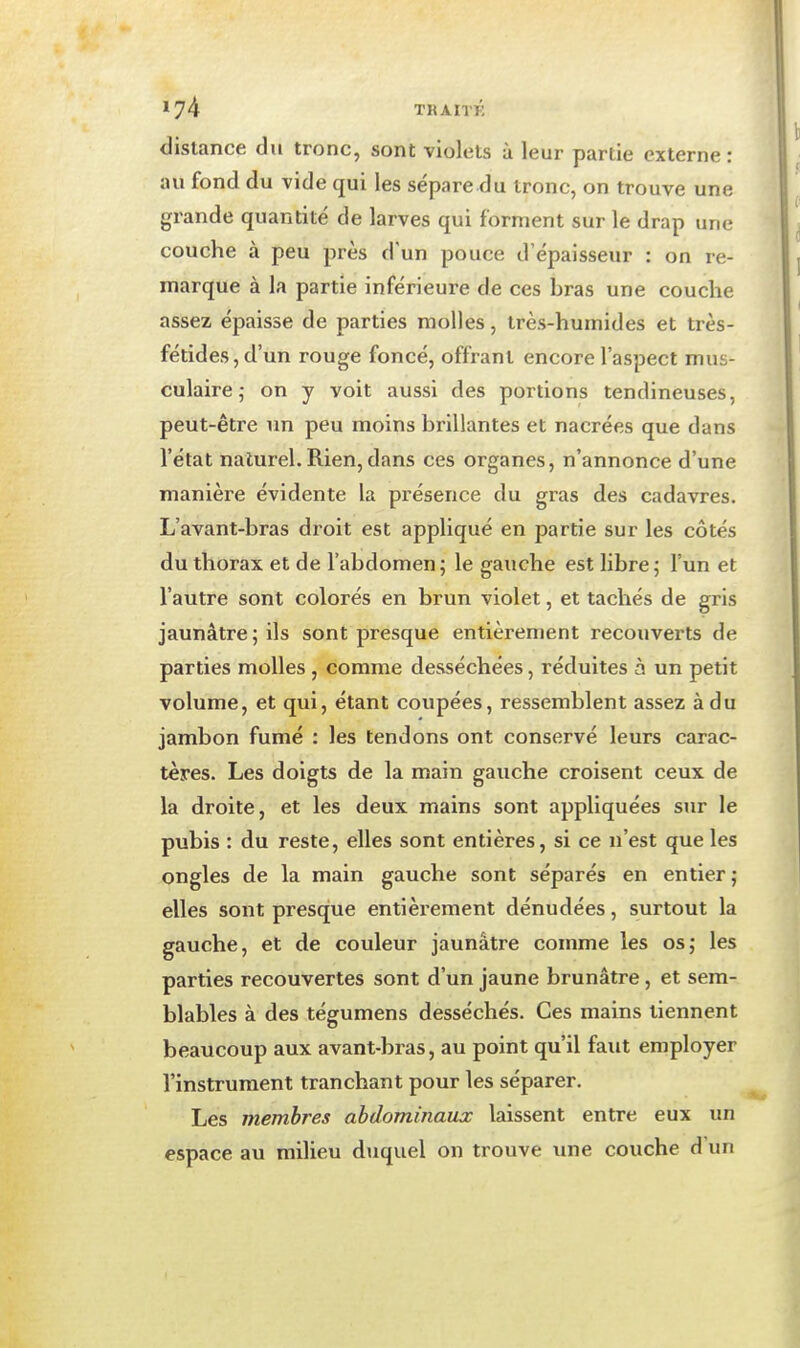 distance du tronc, sont violets à leur partie externe: au fond du vide qui les sépare du tronc, on trouve une grande quantité de larves qui forment sur le drap une couche à peu près d'un pouce d'épaisseur : on re- marque à la partie inférieure de ces bras une couche assez épaisse de parties molles, très-humides et très- fétides, d'un rouge foncé, offrant encore l'aspect mus- culaire ,• on y voit aussi des portions tendineuses, peut-être un peu moins brillantes et nacrées que dans l'état naturel. Rien, dans ces organes, n'annonce d'une manière évidente la présence du gras des cadavres. L'avant-bras droit est appliqué en partie sur les côtés du thorax et de l'abdomen; le gauche est libre; l'un et l'autre sont colorés en brun violet, et tachés de gris jaunâtre ; ils sont presque entièrement recouverts de parties molles , comme desséchées, réduites à un petit volume, et qui, étant coupées, ressemblent assez à du jambon fumé : les tendons ont conservé leurs carac- tères. Les doigts de la main gauche croisent ceux de la droite, et les deux mains sont appliquées sur le pubis : du reste, elles sont entières, si ce n'est que les ongles de la main gauche sont séparés en entier ; elles sont presque entièrement dénudées, surtout la gauche, et de couleur jaunâtre comme les os; les parties recouvertes sont d'un jaune brunâtre, et sem- blables à des tégumens desséchés. Ces mains tiennent beaucoup aux avant-bras, au point qu'il faut employer l'instrument tranchant pour les séparer. Les membres abdominaux laissent entre eux un espace au milieu duquel on trouve une couche d'un