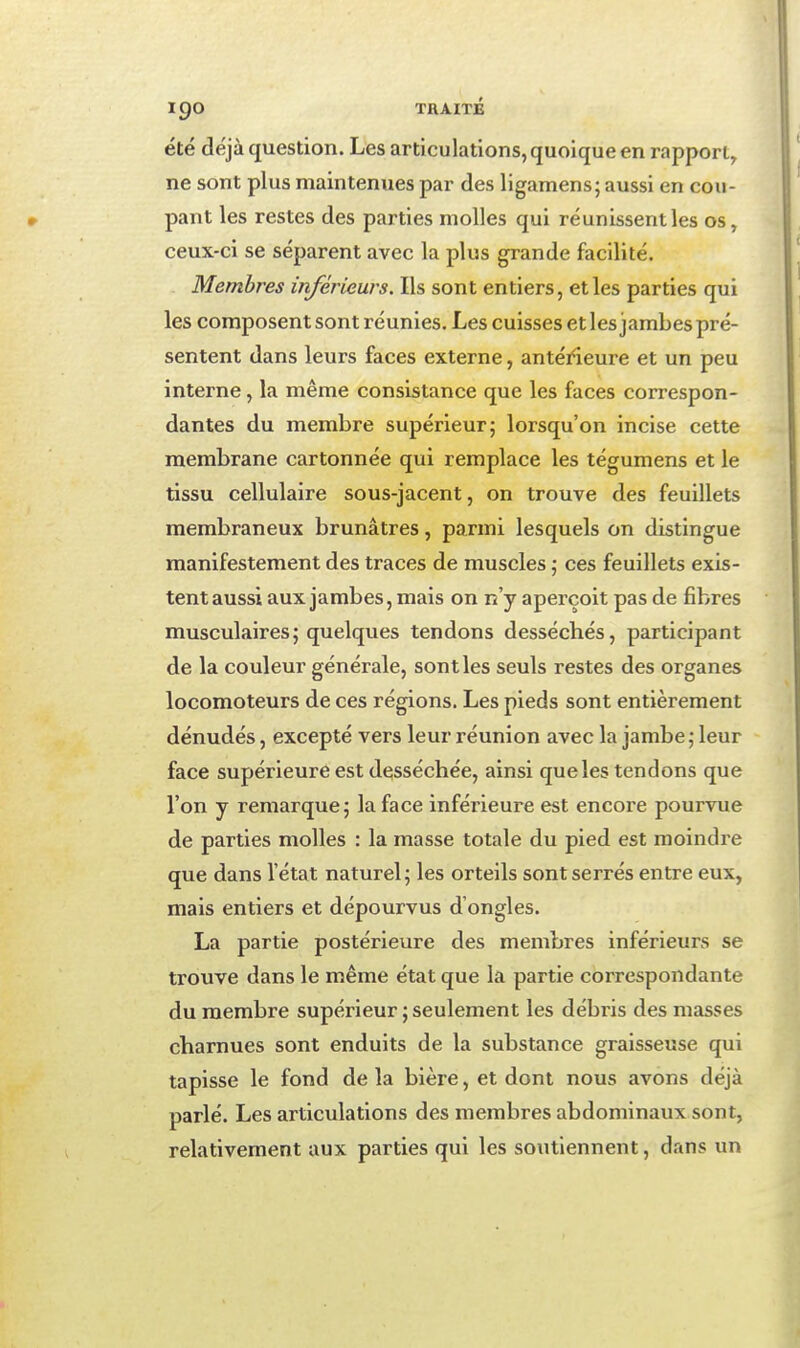 été déjà question. Les articulations, quoique en rapport, ne sont plus maintenues par des ligamens; aussi en cou- pant les restes des parties molles qui réunissent les os, ceux-ci se séparent avec la plus grande facilité. Membres inférieurs. Ils sont entiers, et les parties qui les composent sont réunies. Les cuisses et les jambes pré- sentent dans leurs faces externe, antérîeure et un peu interne, la même consistance que les faces correspon- dantes du membre supérieur; lorsqu'on incise cette membrane cartonnée qui remplace les tégumens et le tissu cellulaire sous-jacent, on trouve des feuillets membraneux brunâtres, parmi lesquels on distingue manifestement des traces de muscles ; ces feuillets exis- tent aussi aux jambes, mais on n'y aperçoit pas de fibres musculaires; quelques tendons desséchés, participant de la couleur générale, sont les seuls restes des organes locomoteurs de ces régions. Les pieds sont entièrement dénudés, excepté vers leur réunion avec la jambe; leur face supérieure est desséchée, ainsi que les tendons que l'on y remarque; la face inférieure est encore pourvue de parties molles : la masse totale du pied est moindre que dans l'état naturel; les orteils sont serrés entre eux, mais entiers et dépourvus d'ongles. La partie postérieure des membres inférieurs se trouve dans le même état que la partie correspondante du membre supérieur ; seulement les débris des masses charnues sont enduits de la substance graisseuse qui tapisse le fond de la bière, et dont nous avons déjà parlé. Les articulations des membres abdominaux sont, relativement aux parties qui les soutiennent, dans un