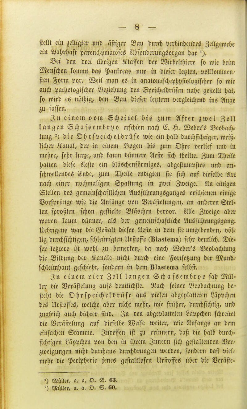 fielft ctn jcUtgtcv imb ciftigcr 23au burc^ »crh'nbcnbcö Bcagenjcbe ein tt)a^)rf)aft ^aremti;mati)feö SlDfonbcrung^organ bar '3. 33e{ bcn brei übrigen Stla^m bcr $S5trt>crtf)icre fo wie betin 2}?enfc(;en fommt baö ^anfrea^ nur tn bicfcr legten, üoüfommcn^ ften gorm »or. 2SciI man tn nnatomtfcl)'pf)i)ftoIo9tfd)cr fo wie aud) pat^oloQi\d)cx 23e5tel)ung ben ©petct;etbriifen na^e gefteUt ^at, fo wirb nöt^ig, ben 23au btefer ledern »ergletd)enb im 2(ugc au fajTen. 3n einem üom ©d^citel fctö jum Slfter gwet 3oII langen ©d;aföembri;o erfd){en nac^ @. SQ3eber'ö 33eobac^f tung ^) bte Dp rf^jetetbrüfe wie ein pa(b burd)ftc()t{gcr, wci§* llid;er ^anal, bcr in einem 93ogen biö jum Opre »erlief unb in meiere, fepr fur3e, unb faum bünnere SIefie ftd; tpeilte. 3itni Z^tik |>atten btefe Slefie ein blä04)cnfi>rinigcö, abgeftum^jfteö unb an^ fd;weC(enbe5 Snbe, jum $lpei(e enbigten fte ft'd; auf bicfelbe ?J[rt nad; einer nod;maIigen ©paltung tn jwet 3weigc. Sin einigen Stetten beö gemeinfd;aftlid;en Sluöfüprungegangcö erfd)icnen einige Söorfprünge wie bie Slnfängc i)on Sßeräftetungen, an anberen <BUU len fpropten fc^on geftieltc iBIaöd;en ^»eröor. Sitte 3weige aber waren faum bünner, aU ber gcmeinfd;aftlid;e Sluefiiprungdgang. Uebrigene war bie @eftaU biefer SIefte in bem fie umgcbcnben, 'oöU Kg burd;fi'd;tigen, fd;Ieimigten Urfioffe (Blaslema) fcpr bcuth'd;. ©ie^ [er letztere ift wopt ju bemerfen, ba nad; SOSeber'ö 23eoba(|tung bie S3ilbung bcr ilanäte mä)t burd^ eine gortfetiung ber a)?unb* f^Ieimpaut gefc^iept, fonbern in bem Blastema felbfl. 3n einem »ier 3otI langen <Sd; a föembri;o fa|r 5D?riT= ler bie Sßcräfielung aufö beutlic^fte. 'iflad) feiner Scobad)tung be* fte|)t bie Dprfpct^etbrüfe auö »ictcn abgeplatteten ?a))pd)en bcö Urftoffeö, wcld;e aber nid;t mepr, wie früher, burd)ftd)tig, unb juglcic^ auc^ bid;ter fi'nb. 3n ben abgc^^Iattctcn (!ä)3))d^cn fc^rcitet bie SSeräftefung auf biefclbe Sffieife weiter, wie Slnfang^ an bem einfad)en ©tamme. 3nbeffen i\i ju erinnern, ba^ bie patb burd;^ ftd)tigen ?äppd;cn »on ben in i^retn 3nncrn ft'd; geftaltenbcn SBcr^ jweigungen nid;t burdjauö burd;brungcn werben, fonbern bajj »ier^ mepr bte ^en>^>eric jieneö gefialttofen Urftoffeö über bie 25cräfte= ') ^ulltv, a. a, D. ©. 63. ^) miüix, a. a, D. <S. 60.