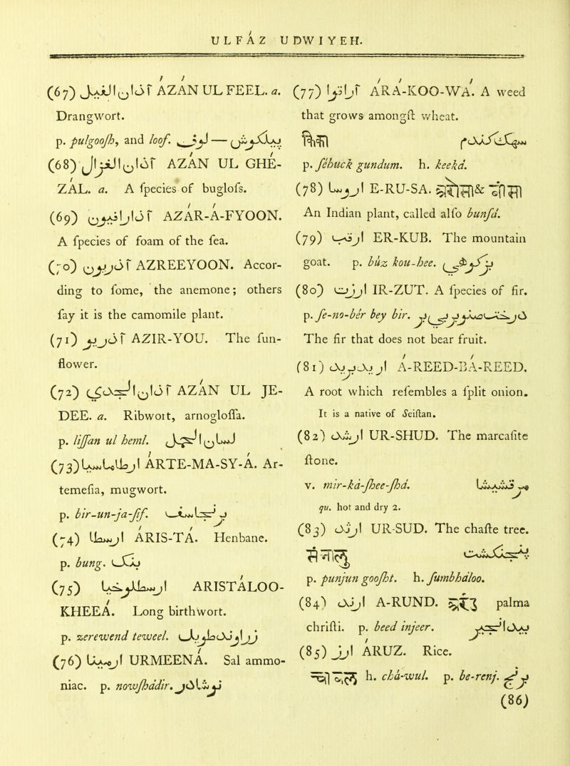 (67) jAjU!t^ljr AZANULFEEL.^. (j^/^^y^J ARA-KOO-Wa'. A weed Drangwort. that grows amongft v/heat. p. pulgoojhj and loof. ^ j^ — (ji^^jjCLo (68) JljiJl^^l^^r AZAN UL GHE- ZAL. ^z. A fpecies of buglofs. (69) o^^b'^^ AZAR-A-FYOON. A fpecies of foam of the fea. (;o) AZREEYOON. Accor- ding to fome, the anemone; others fay it is the camomile plant. (71) jjj6\ hZlK-YOU. The fun- flower. (72) c^O.:Jl^lc3r AZAN UL JE- DEE. a. Ribwort, arnogloffa. p. lijfan ul heml. (Jj^l(^lwj>J (73) U>^Ull^^l ARTE-MA-SY-A. Ar- temefia, mugwort. p. blr-un-ja-Jtf, ^.-Xm^X:^y (74) ARIS-TA. Henbane, p. hung. lXIj (75) ARISTALOO- KHEEA. Long birth wort. p. %ere'wend teweel. lJ.j^C>6j\jj (76) Ua^j( URMEENA. Sal ammo- niac, p. novjjhddir, jC^\,t>y fehuck gundum. h.. keekd. (78) e-ru-sa. ^iiB&^n^ An Indian plant, called alfo bunfd. (79) j\ ER-KUB. The mountain goat. p. buz kou-hee. i^^jSy (80) IR-ZUT. A fpecies of fir. p. fe-no-ber bey b'lr. .^i^^.^y.j^'^J^^jC^ The fir that does not bear fruit. (81) o\^^J.jjl A-REED-BA-REED, A root which refembles a fplit onion. It is a native of iJeiftan, <:sLj\ UR-SHUD. The marcafitc flone. V. mlr-kd-Jhee-Jhd. L^yiujj^ qu. hot and dry 2. (83) C>3j\ UR-SUD. The chafte tree. p. punjun goojht. h. fumbhdloo. (84) cXJjl A-RUND. palma chrifti. p. beed injeer. j<s^\o^j^ (85) Jjl ARUZ. Rice. ^l^c'S ^' P« be-renj. (86)
