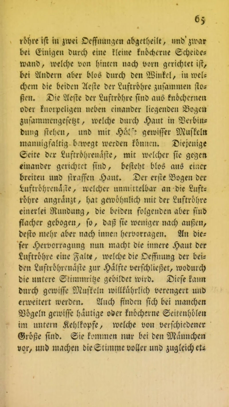 « r6t)re ift in jroei £>effuumten abgetfjeilt, unb^tvar bei Grinicjen t»urct> eine Heine fn6cf)erne £ct)eibcs tvanb, roelct)e von t)intcn ttact) vorn cjericr)tet ift/ bei Stnbern aOer bloS burcr) ben &5mfe(/ mwtU ct)em bie beiben Jfeflte ber Suftr6()rc jufammen fios f?cn. Die s2fefrc ber £uftr6()re ftnD auS fn6cr)ernen ober fmuvelicjen neben cinanber liegenbeu sSogcii auiammenctefc&t, tvelcfye bftre^ Jpaut in SSerbins buna. frebcti, ttnb mit SpHfi cjetviffev 9)2uffeltt manuigfaltta, btvegt lverDen fotmcn. X>iejcnt^c ©eite bcr £uftr6()retufre, mit roe(ct)cr fte gegen einanDer gcrict)tct ftnb, befteljt blo» ati3 eincr breiteu tmb ffraffeti £>aut. Der erfte 23ogen ber htftr6()rena,te, ivelctjer unmittelbar an-bie Sufr* robre angran^t, bat geiv6()nlict) mitber 2uftr6()rc einerlet Stuubuncj/ bte betben fofgenbcn aber finb flacr)er gcbogen, fo, bap fte roeniger nact) attf5eu, befto ntefyr aber nacr) innen beroorragett. 2ltt bie= fer Jpervorragung mtn macr)t bte itmere Jpaut ber frtftroljre eine ^alte, iveld)e bie £>effnimg ber beis bcn 2uftr6(;rcna|te $nr J)a(fte oerfd)Iierlet, rooburct) bie ttntcre ©timmrifee Qebilbet voirb. £>iefe fann bttrct) gcroiffe SDtoffeln tvillfufyrlict) vercngert uub enveitert tverben. 2fuct) ftnben ftct) bci manct)en 5%c(u gcroi|fc batttige ober fn6ct)erne ©etteu()6(eu tm tmtern $e()(fovfe, tvelct)e von verfcr)iebener ©ropc ftnb. ©te fommen nur bei ben ^attnct)cn »oi/ unb nhict)en bieetimmeooller unb jugteicfyeU