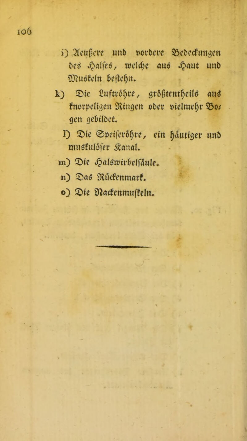 i) 2feuj3cre unb vorbcrc 53e^ecftin^cn beS $al\e$, n>eld)e au$ ^aut unb Sftuefeln oeftefjn. k) ©te SuftrSfjre, gr5£tentf)eild au$ fnorpeltjjen 3iingen obcf oielmef>r Q5o; gen seoilbet. 1) 2>ie «SpetferSljre, cin ^duticjer unb mu$ful5fer $anal. m) £>te ^alstr-tt-oclfdufe. n) 3)a$ iKticfenmarf. o) $ie Sftacfenmuffem.